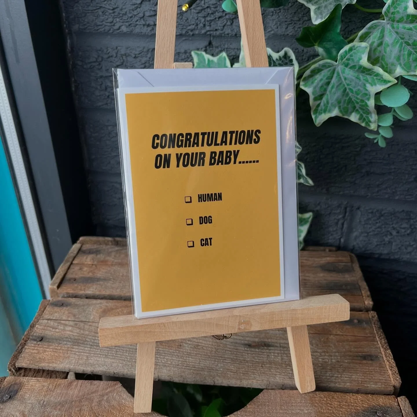Congratulations on your baby🫶🏻
Whether it&rsquo;s a human child, a cat, or the dog who gets more attention than the rest of us&hellip; we&rsquo;re delighted for you.

Available now in the shop&hearts;️🍼