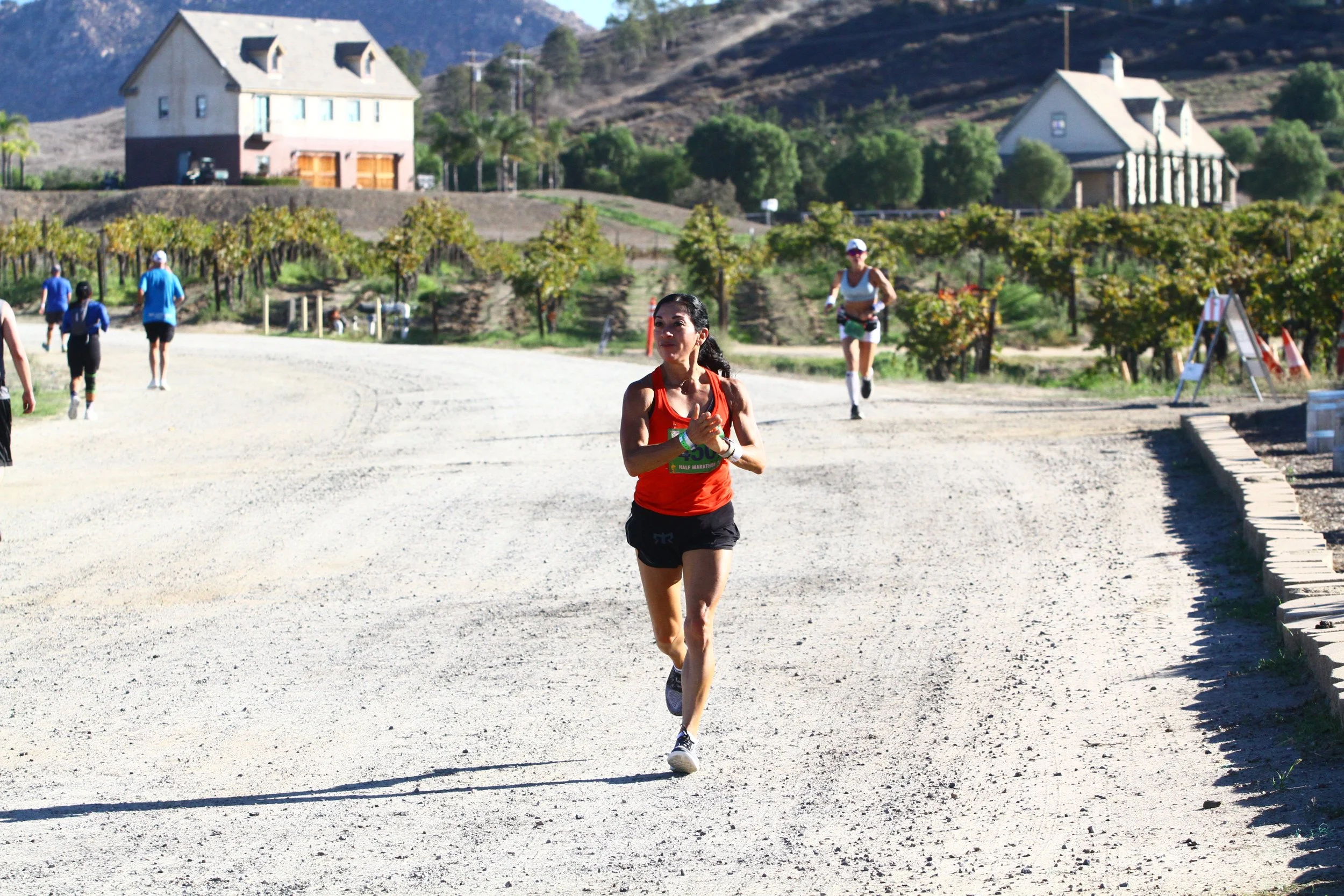 California Wine Country 10K