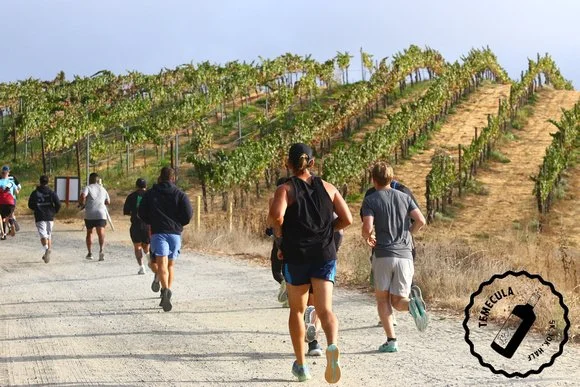 Temecula Half Marathon, 10K & 5K Wine Country Run