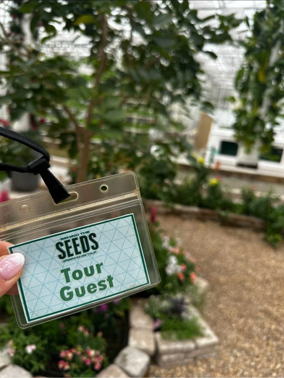 Enchanting Extras at Walt Disney World