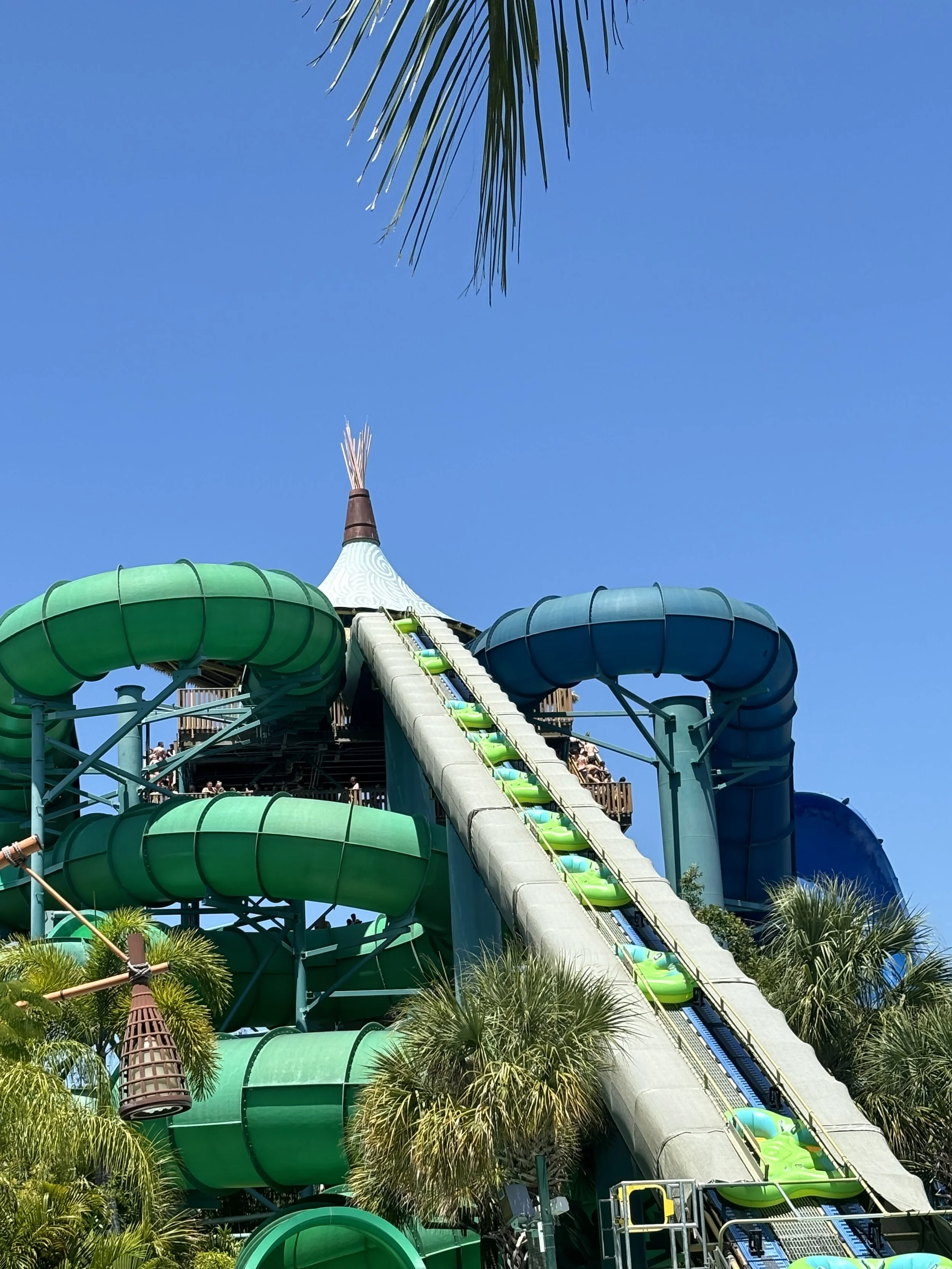 IMG_8304.jpeg
