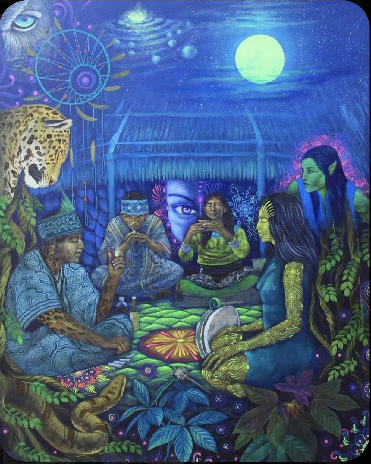 Shipibo Ayahuasca Retreat