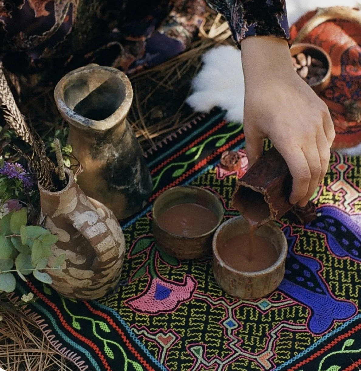 Shipibo Summer Ayahuasca Retreat