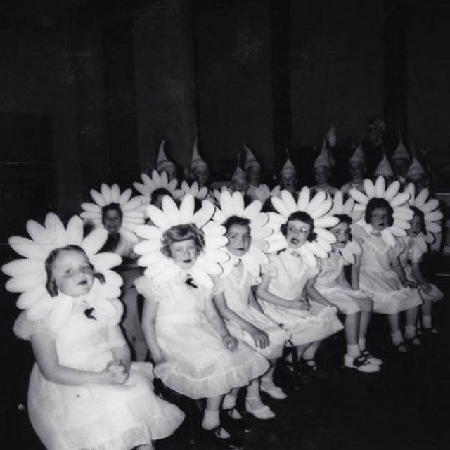 Daisy does it 🌸

#vintagephotography #flowerpower #daisydoesit #womeninweed #smokedesign #rollup