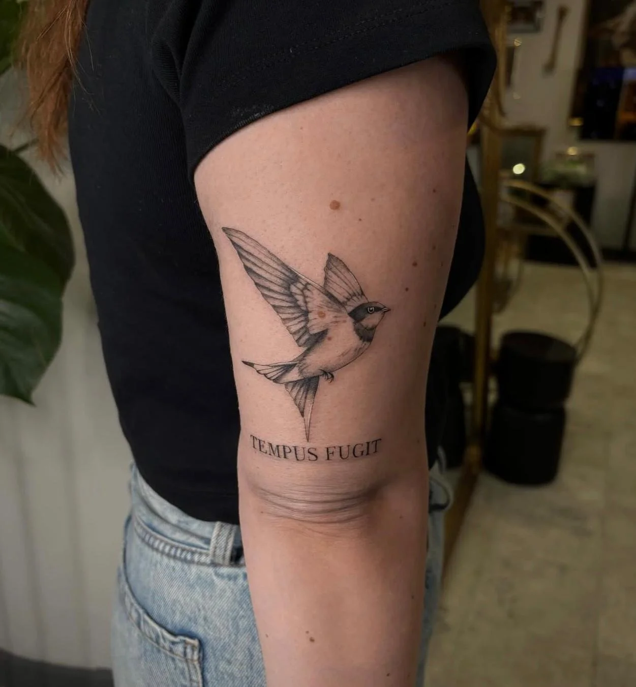 Realism black and grey tattoo on the back of the upper arm, featuring a bird with print script underneath reading 'TEMPUS FUGIT' meaning 'Time Flies' in Latin.