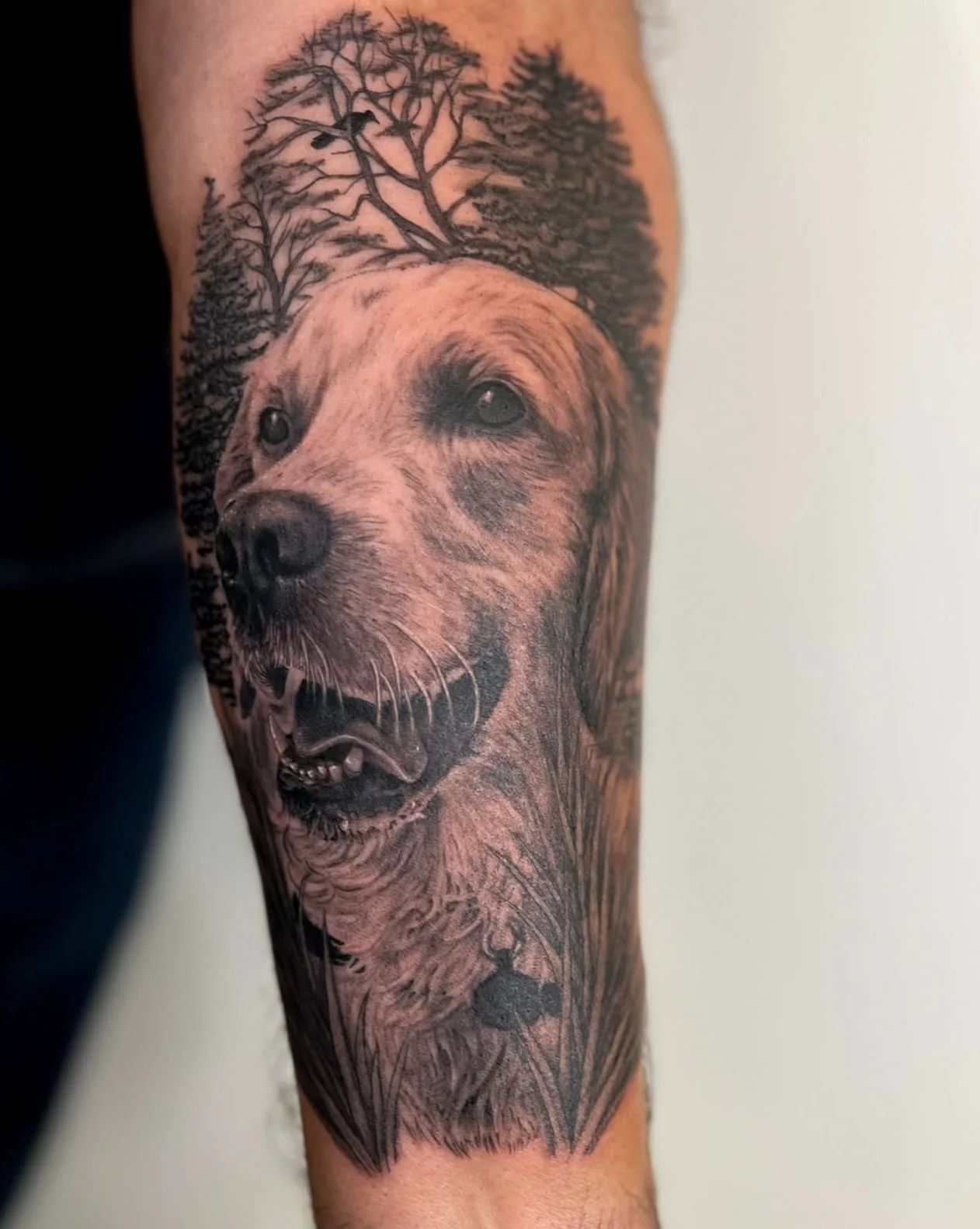 Black and grey realism portrait of a client's Golden Retriever dog with a dark woodland style background.