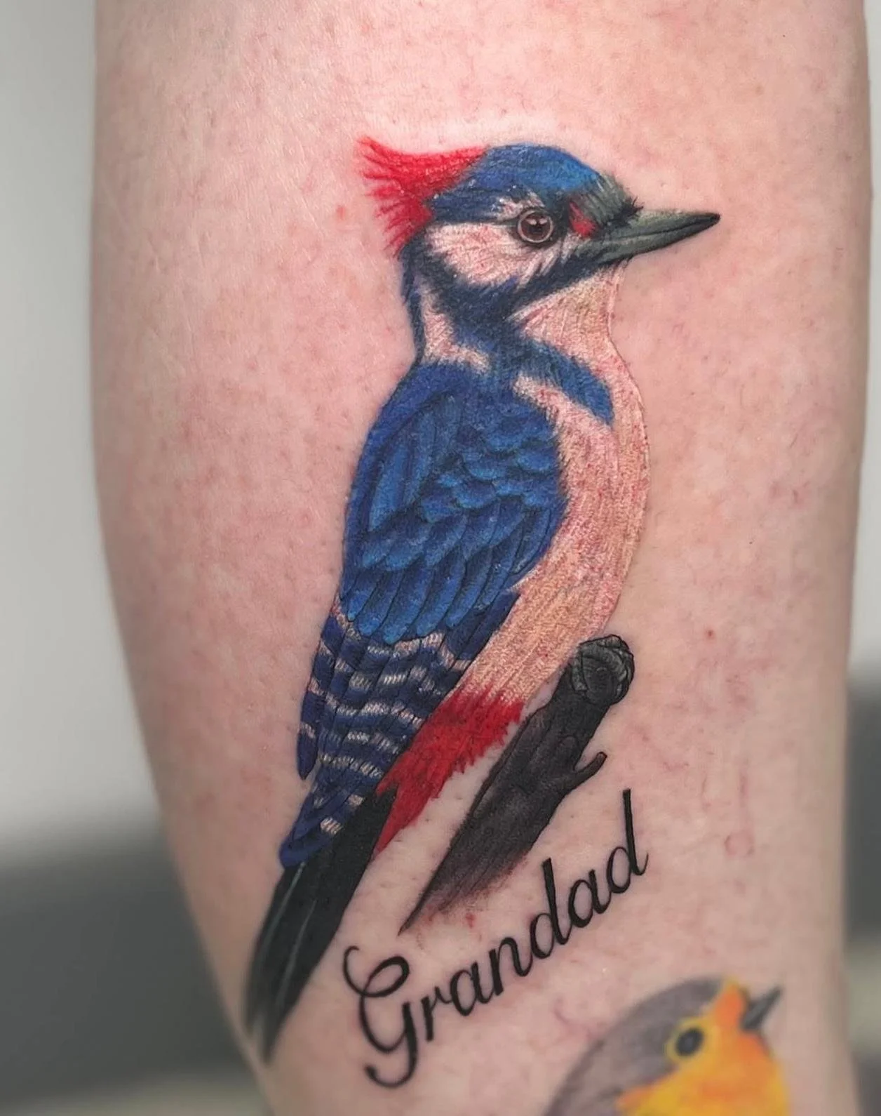 Memorial colour realism portrait of a woodpecker bird, coloured in red, white and blue to represent the RAF Royal Air Force, with 'Grandad' written in script below.
