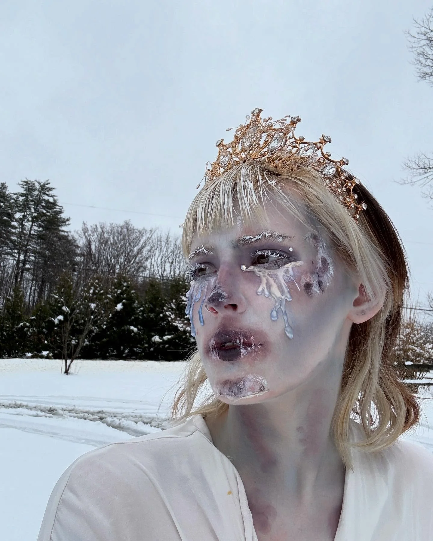 𝓽𝓱𝓮 𝓼𝓷𝓸𝔀 𝓺𝓾𝓮𝓮𝓷 by hans christian anderson 

my entry for #cmsfairytale @cinemamakeupschool 

pov she takes your brother to her ice castle after a demon-cursed mirror shard falls into his heart wyd