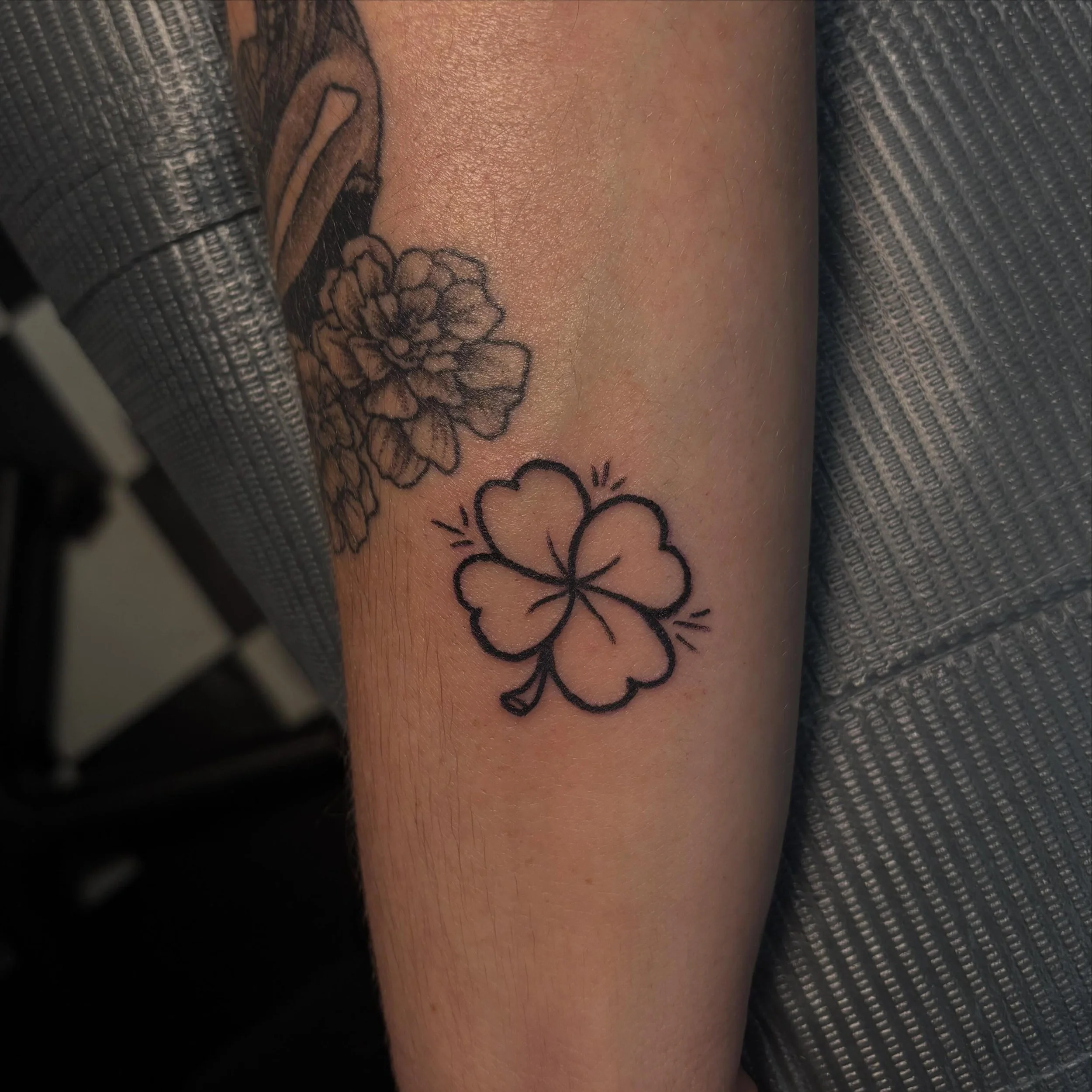 have u ever found a 4 leaf clover be so fr - do they even exist?