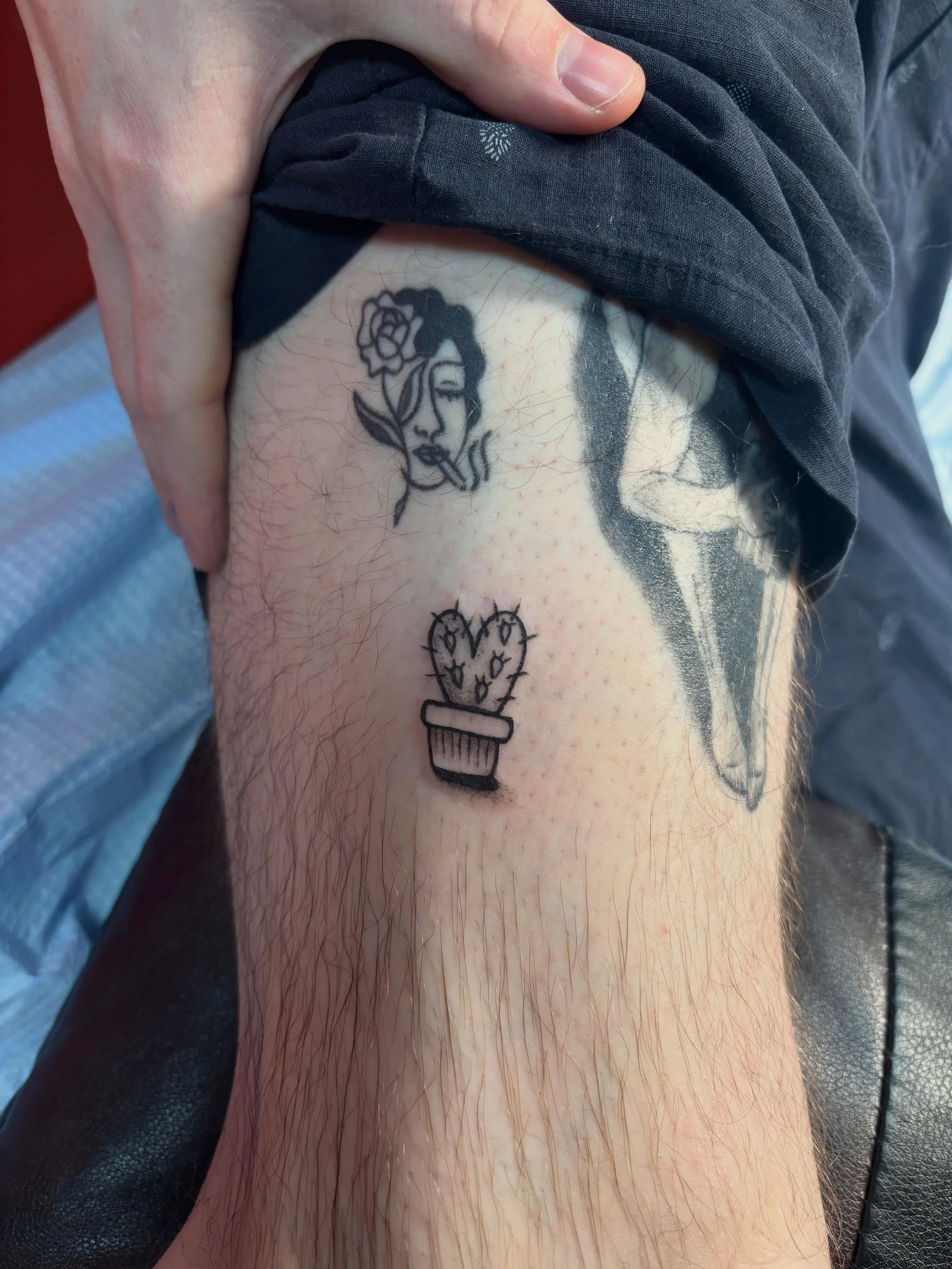 a lil cactus as a treat 🥰