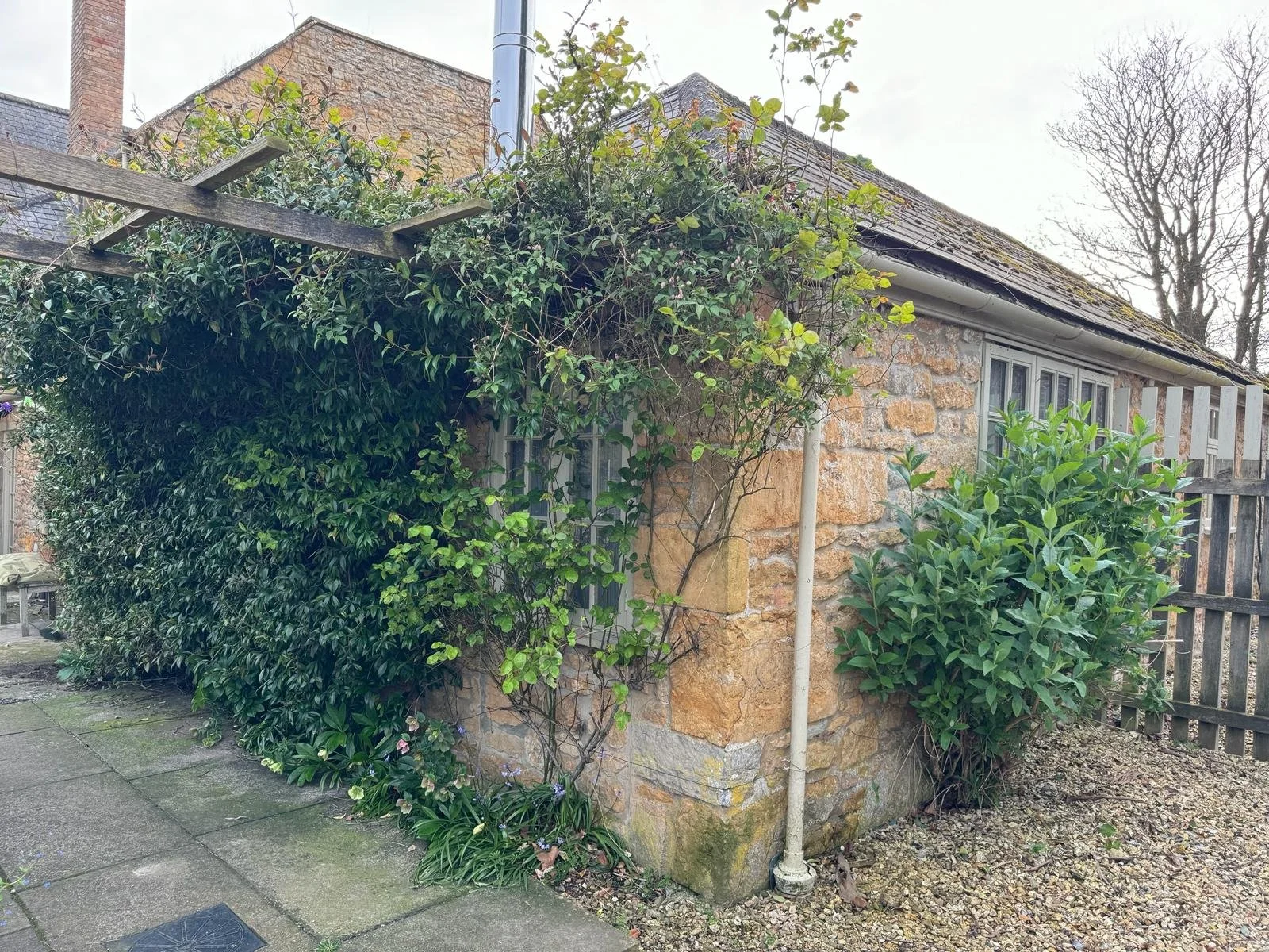 WhatsApp Image 2024-04-06 at 18.48.18 (2).jpeg