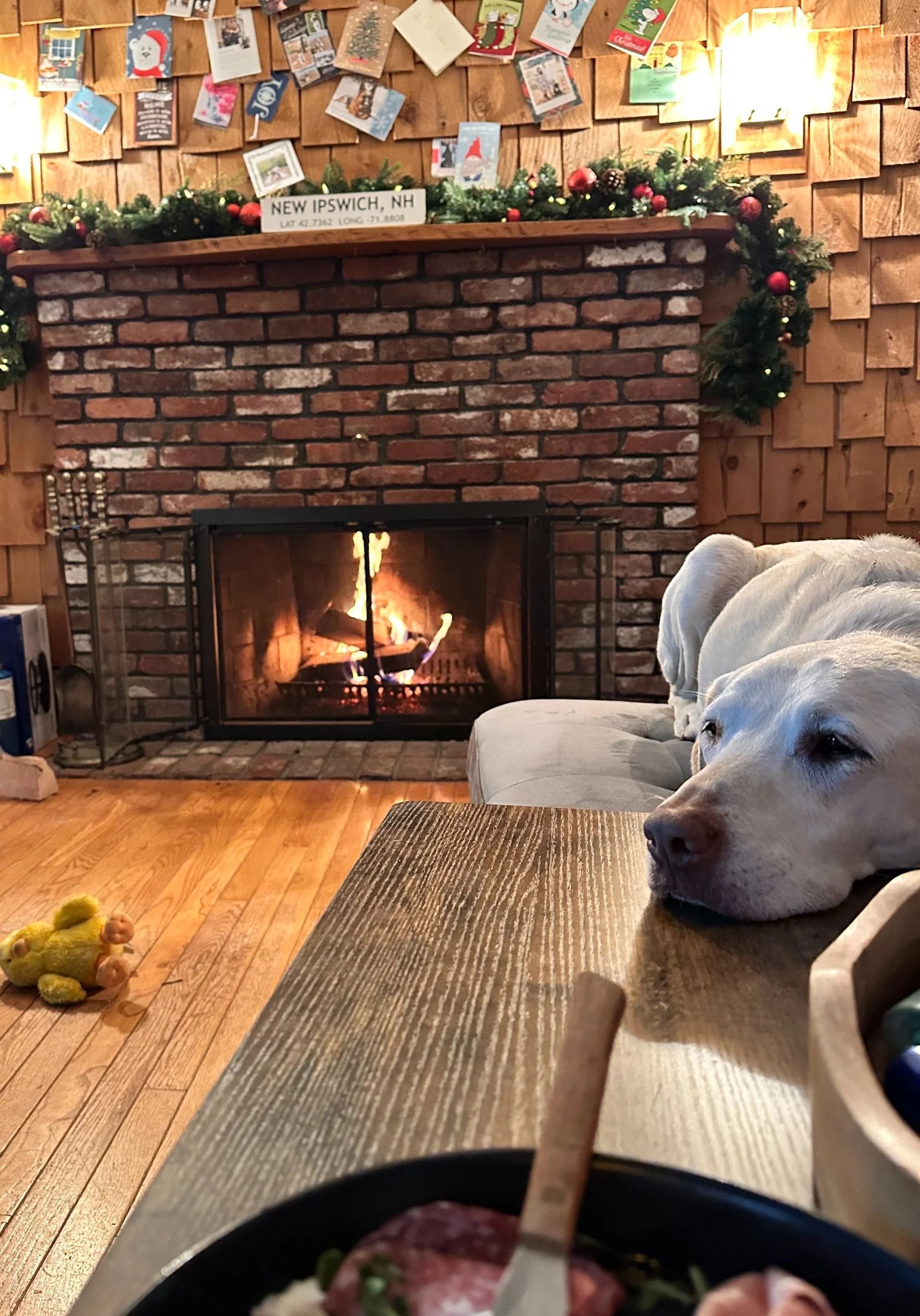 A cozy living room with a lit fireplace, decorated with holiday cards and a garland with red ornaments on the mantel. A yellow dog is resting on a gray sofa near a wooden coffee table. A small yellow plush toy is on the hardwood floor, and part of a meal with a spoon is visible in the foreground.