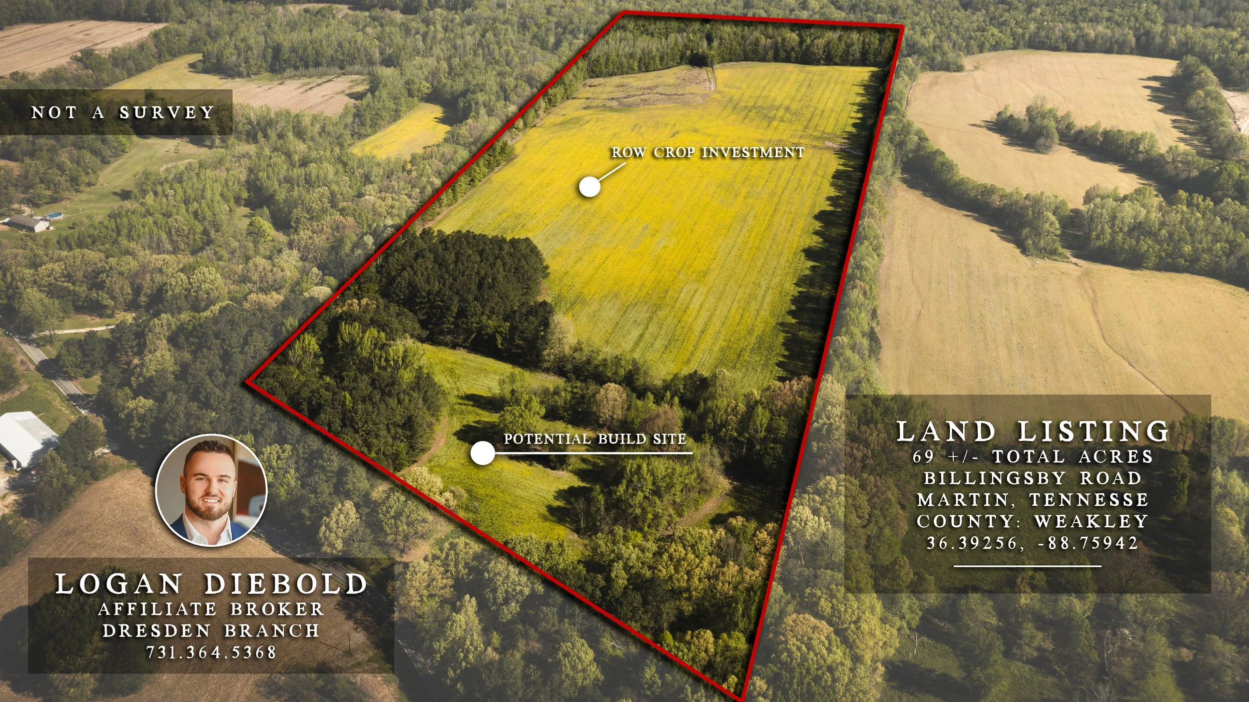 Wendell Alexander Realty