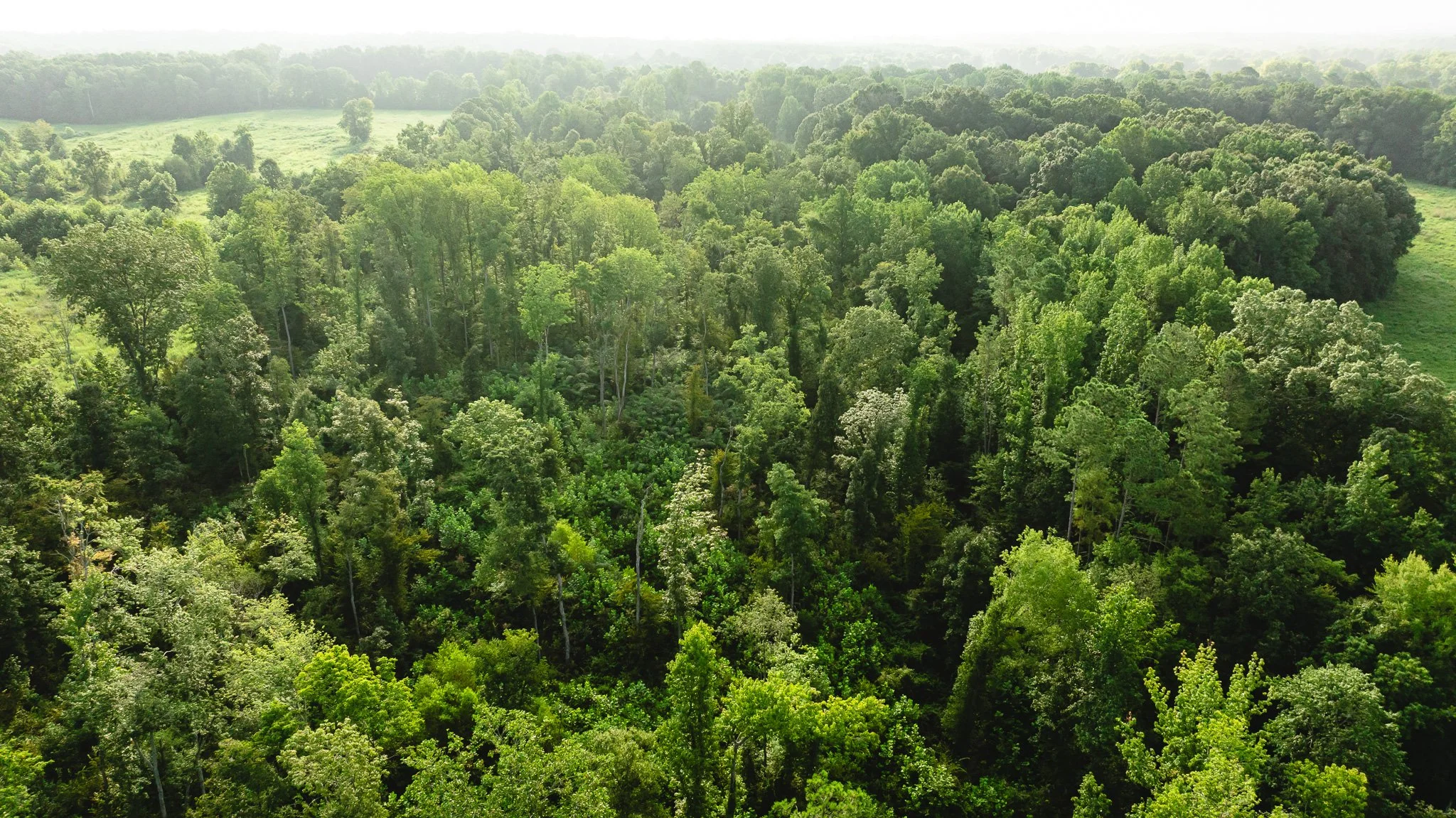 DJI_20260815153335_0005_D.jpg