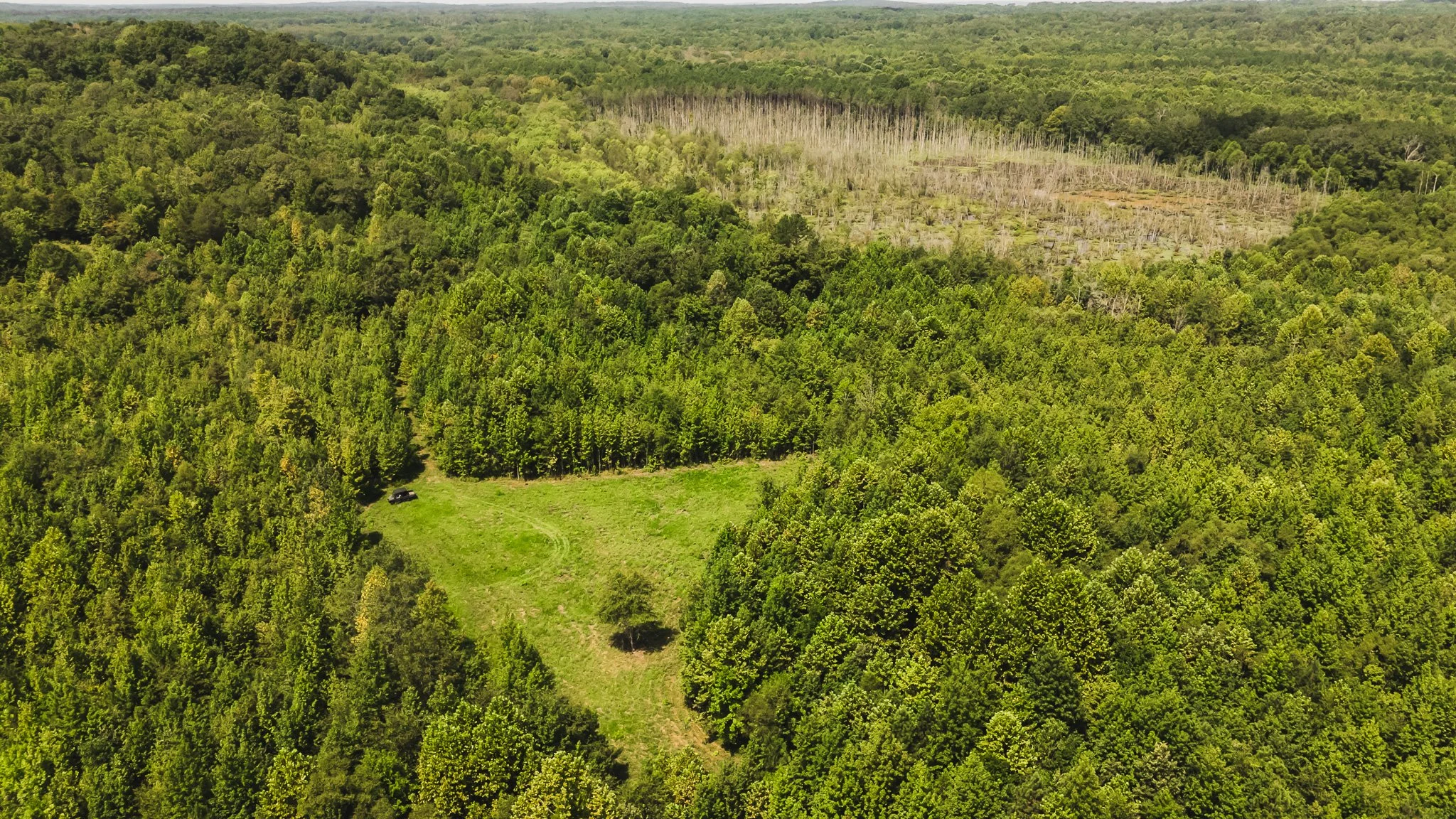 DJI_20250814104906_0039_D.jpg