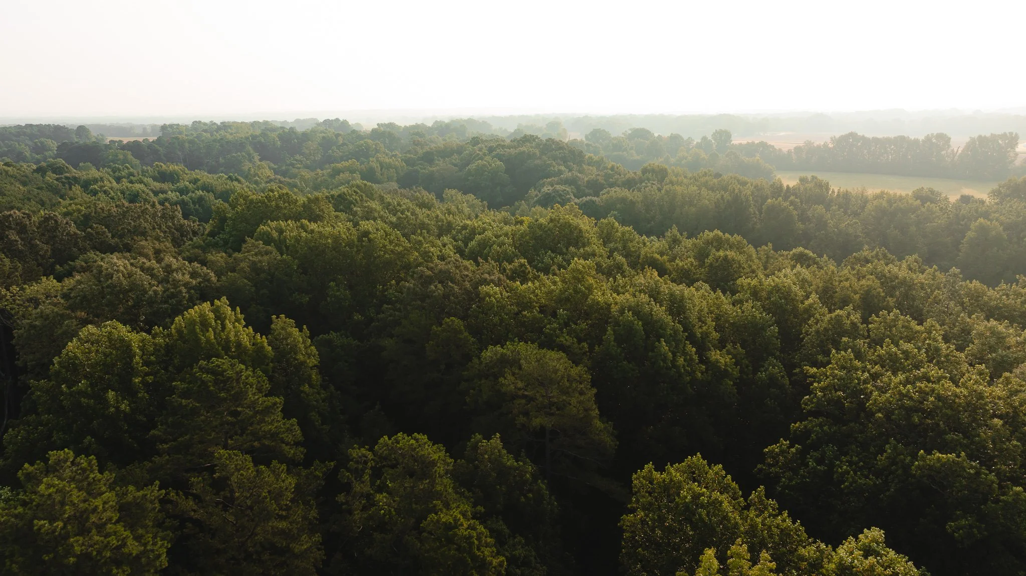 DJI_20260705144653_0023_D.jpg