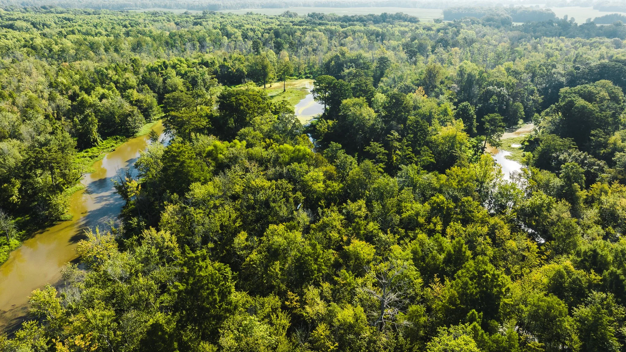 DJI_20250821085957_0055_D.jpg