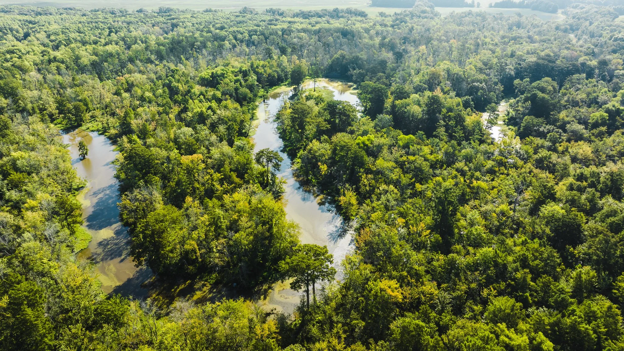 DJI_20250821090736_0072_D.jpg