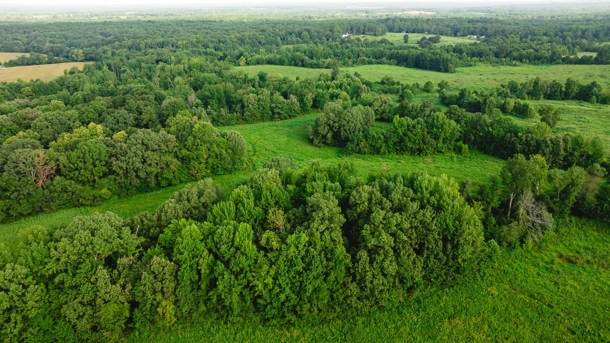 DJI_20260815153541_0011_D.jpg