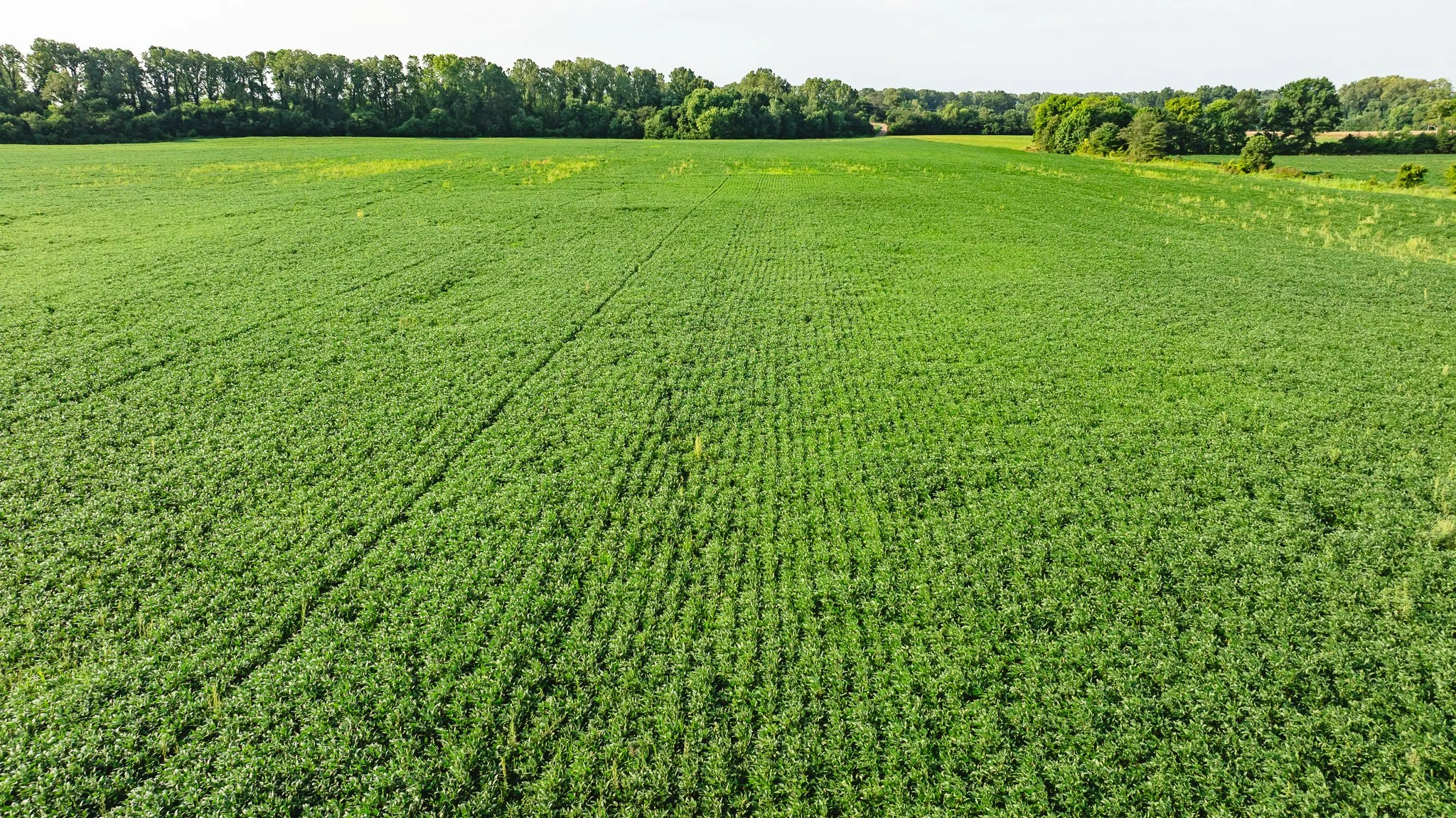 DJI_20260823160631_0020_D.jpg