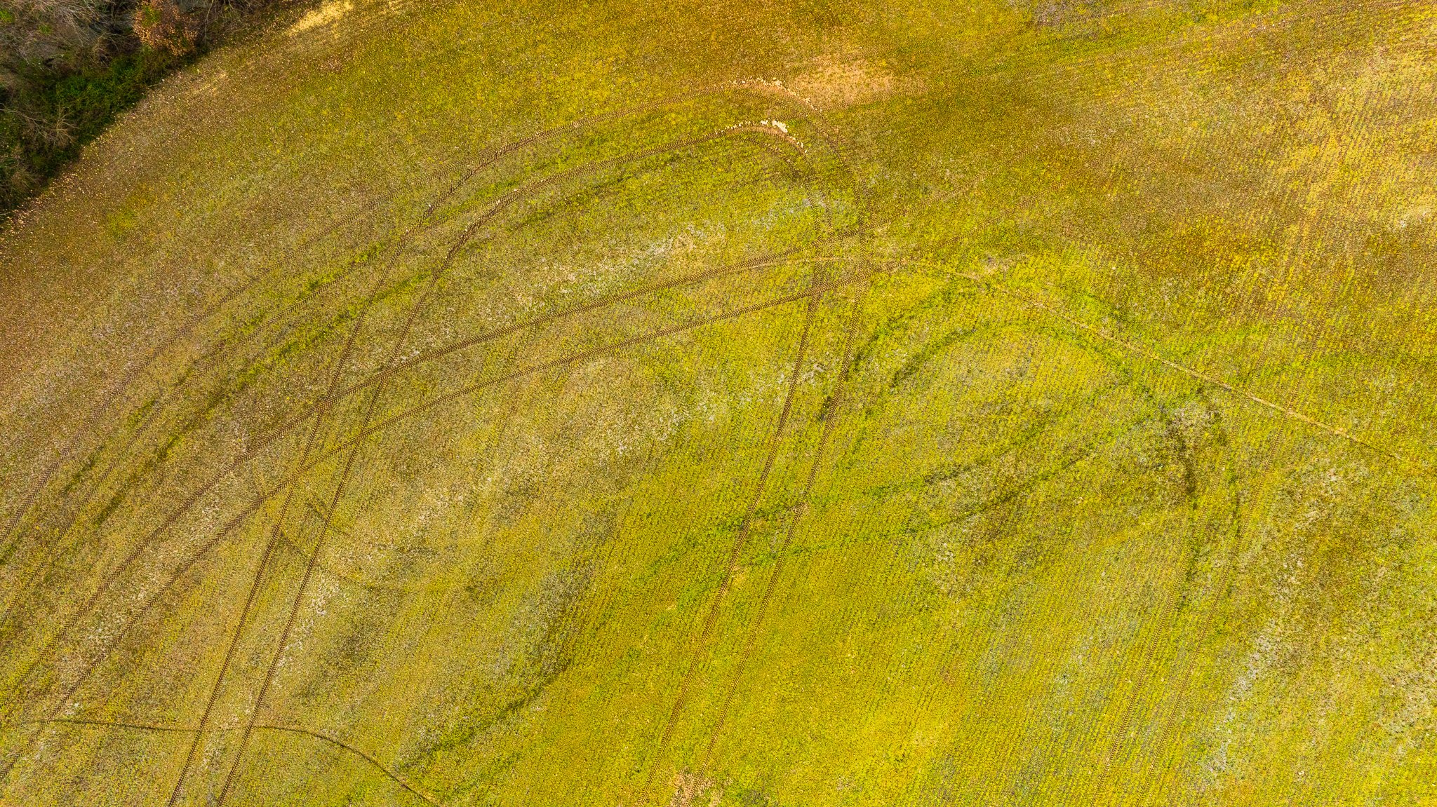 DJI_20260319152145_0028_D.jpg