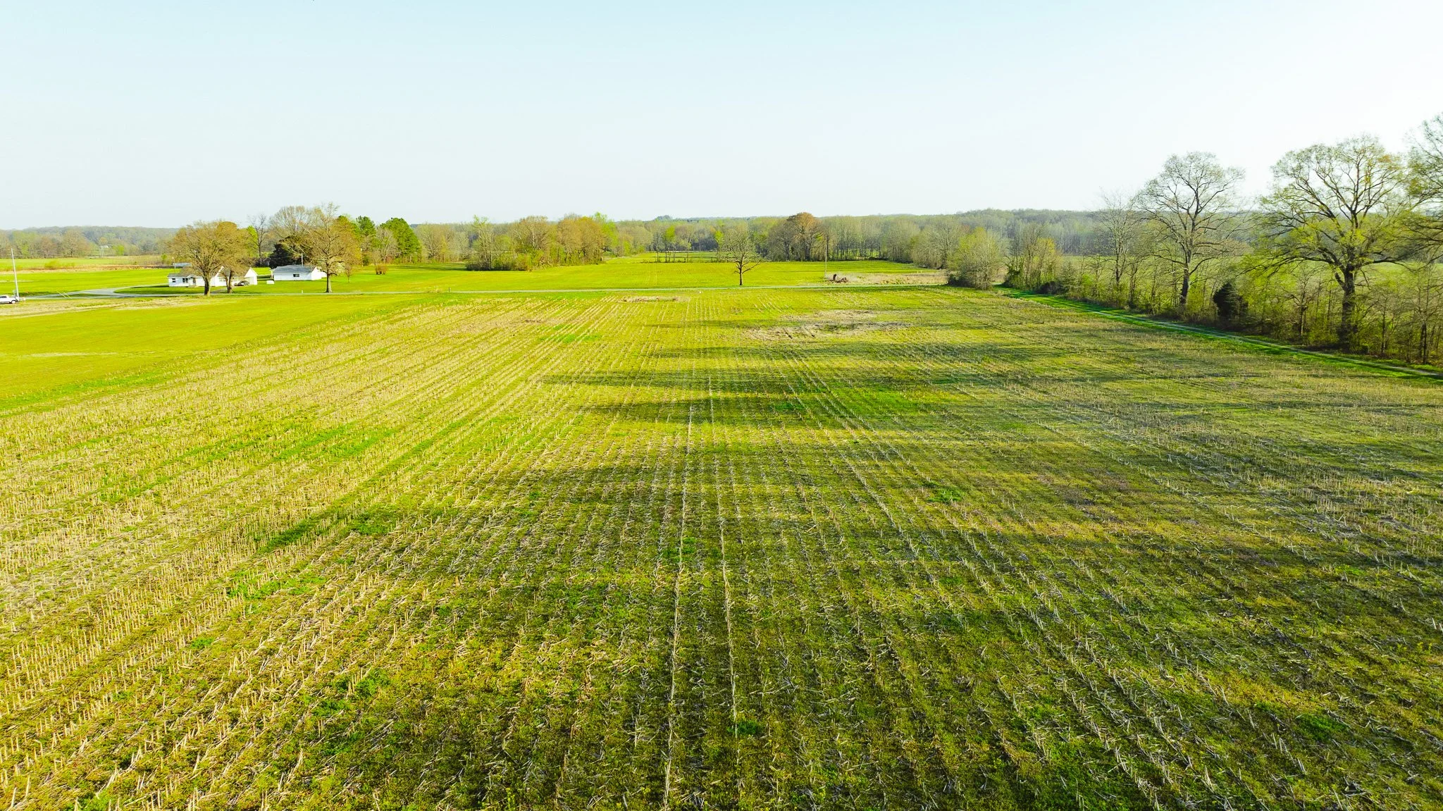 DJI_20260326084353_0020_D.jpg