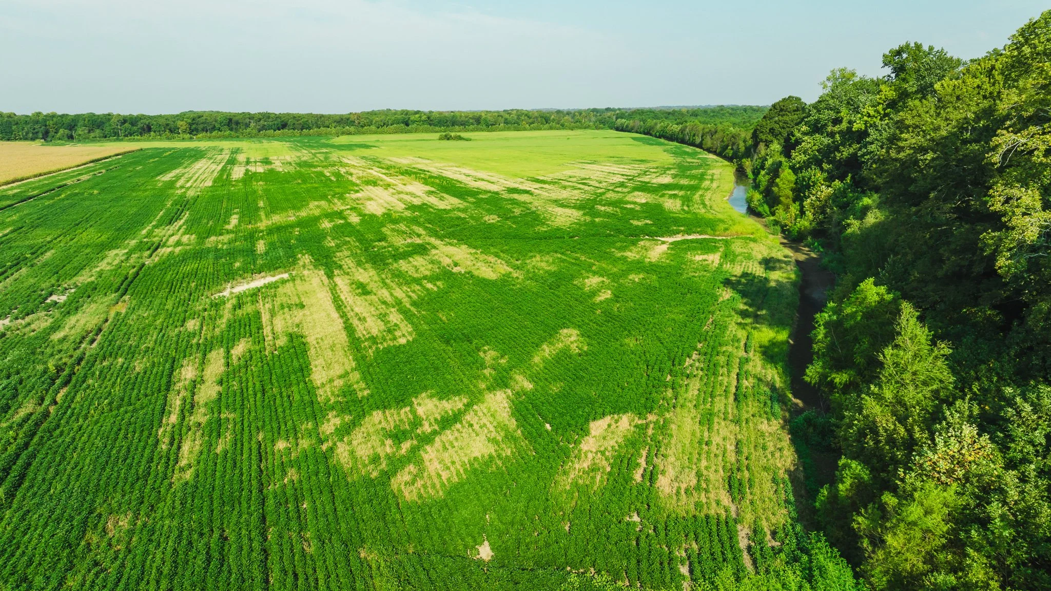 DJI_20250915091820_0011_D.jpg