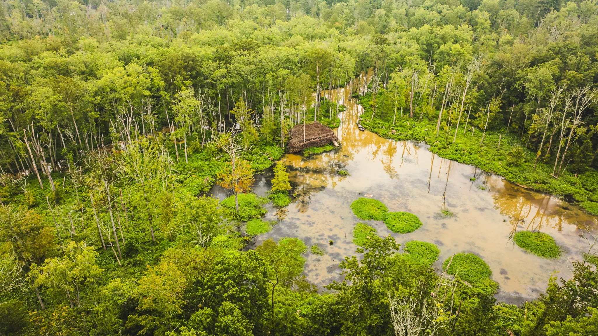 DJI_20250805080704_0043_D.jpg