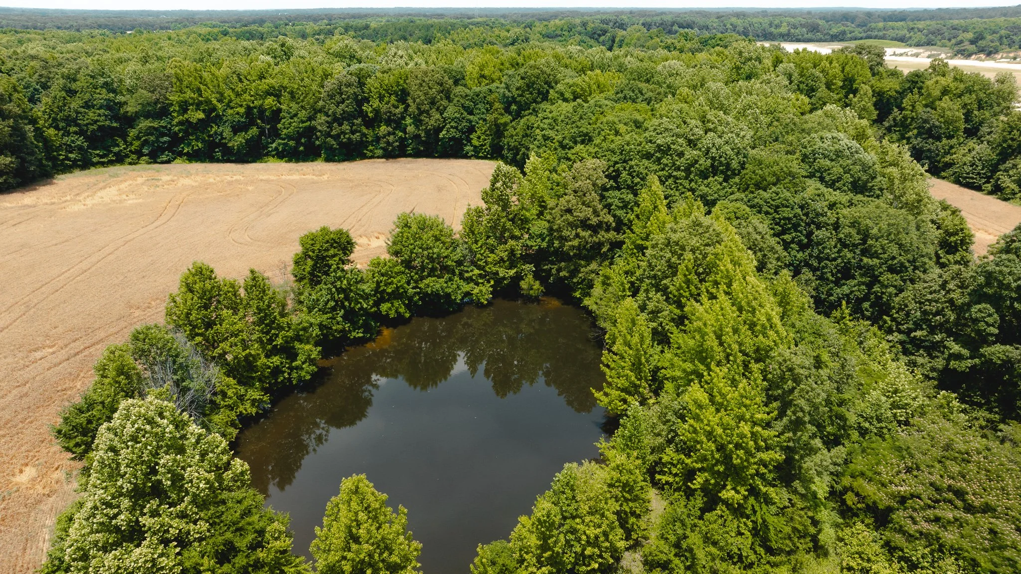 DJI_20260602203859_0006_D.jpg