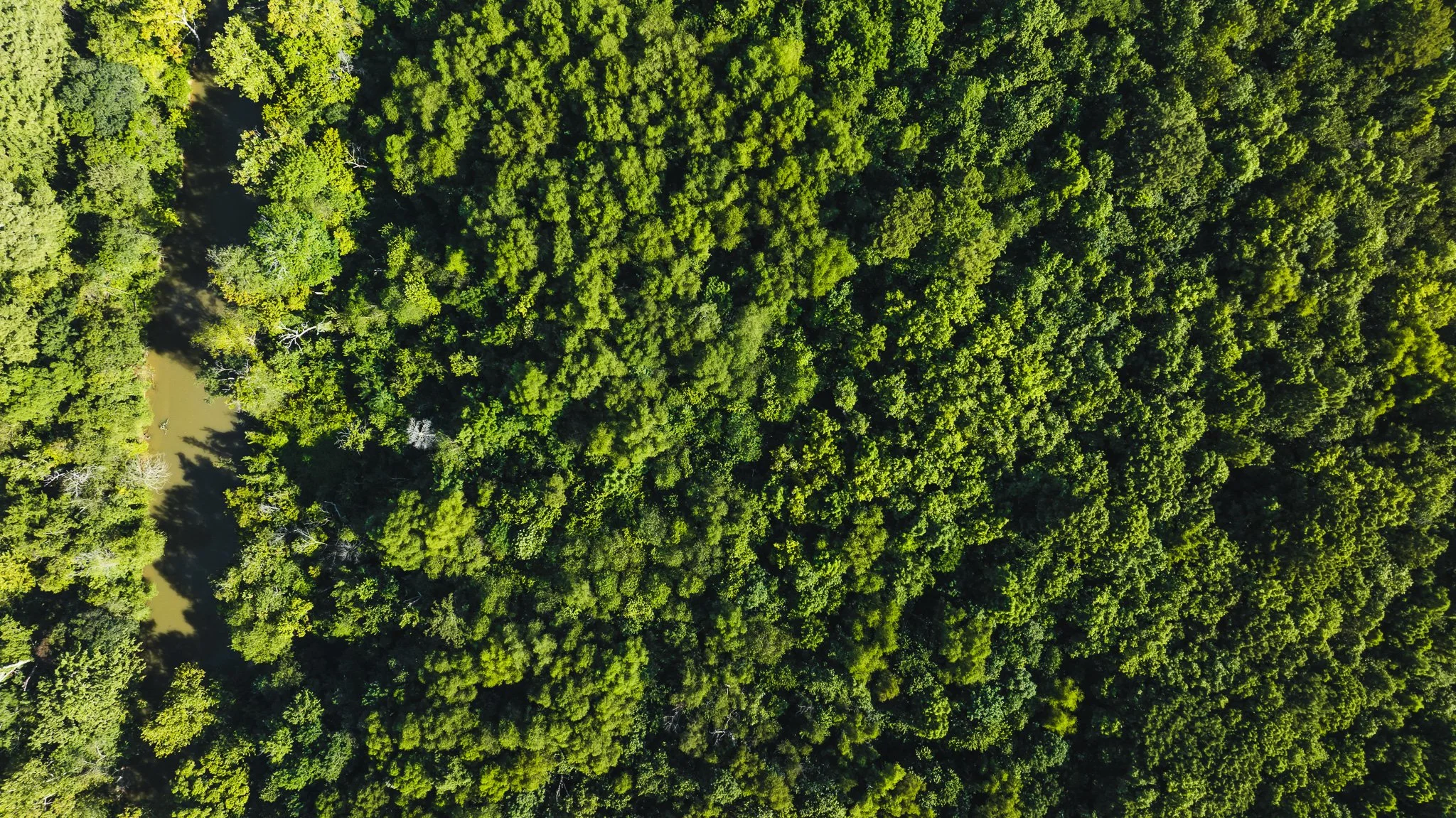DJI_20250821090706_0070_D.jpg