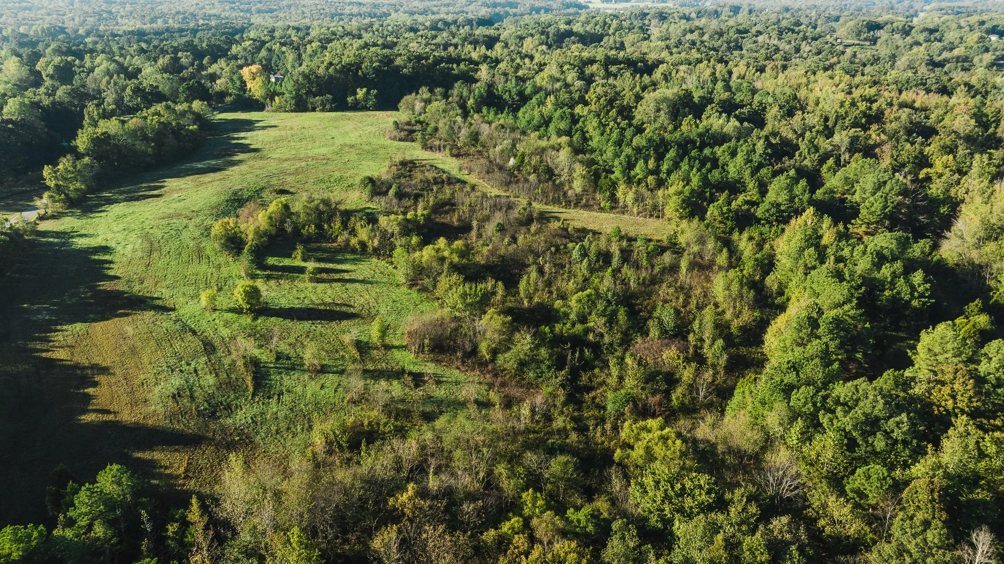 DJI_20251014085156_0019_D.jpg