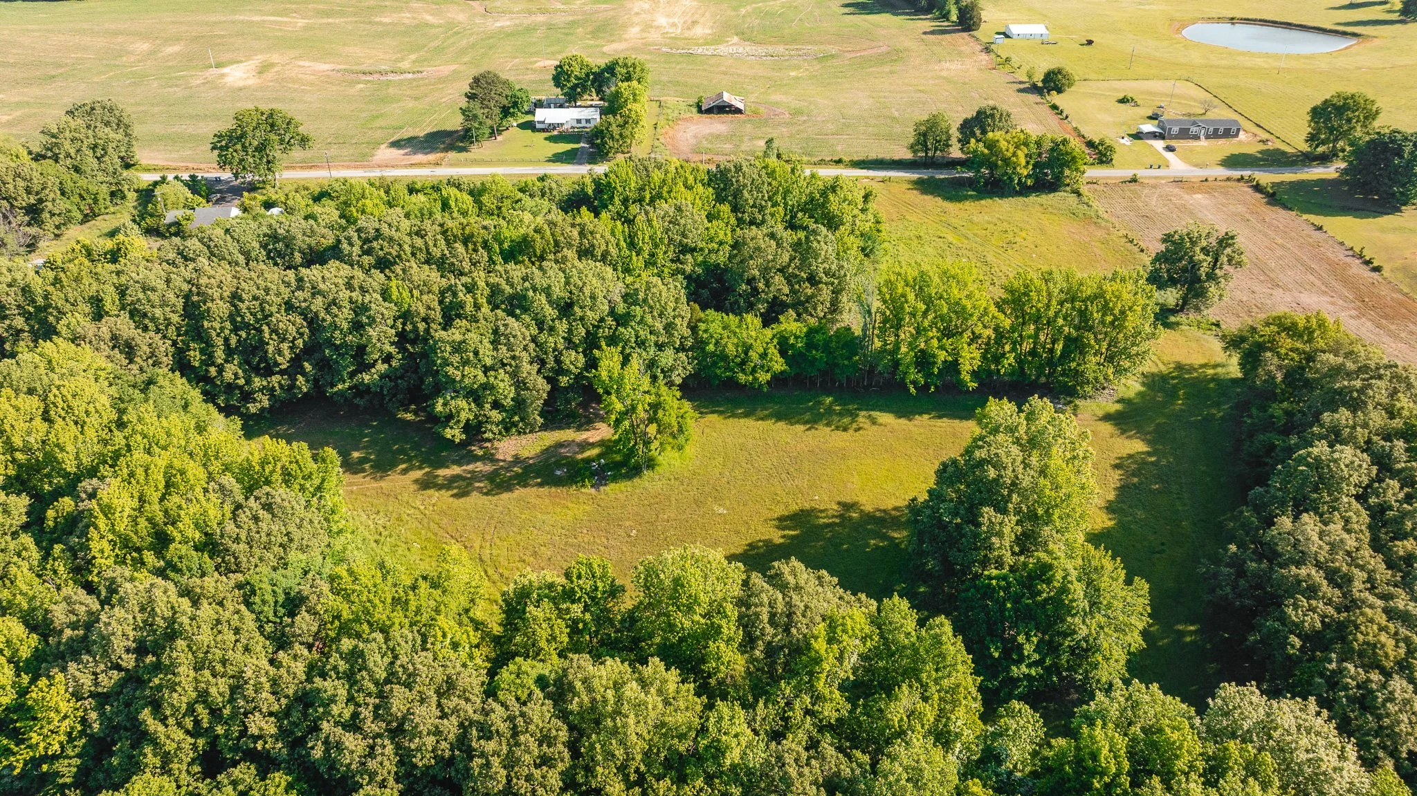 DJI_20260511155931_0012_D.jpg