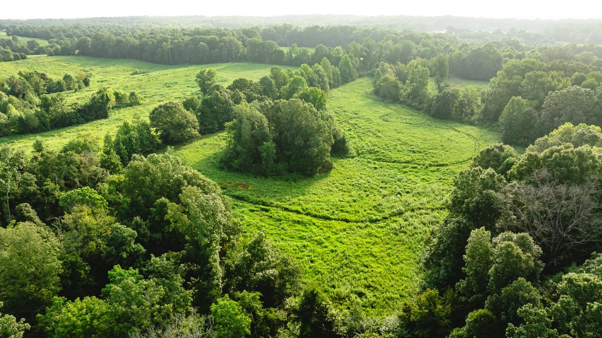 DJI_20260815153400_0007_D.jpg