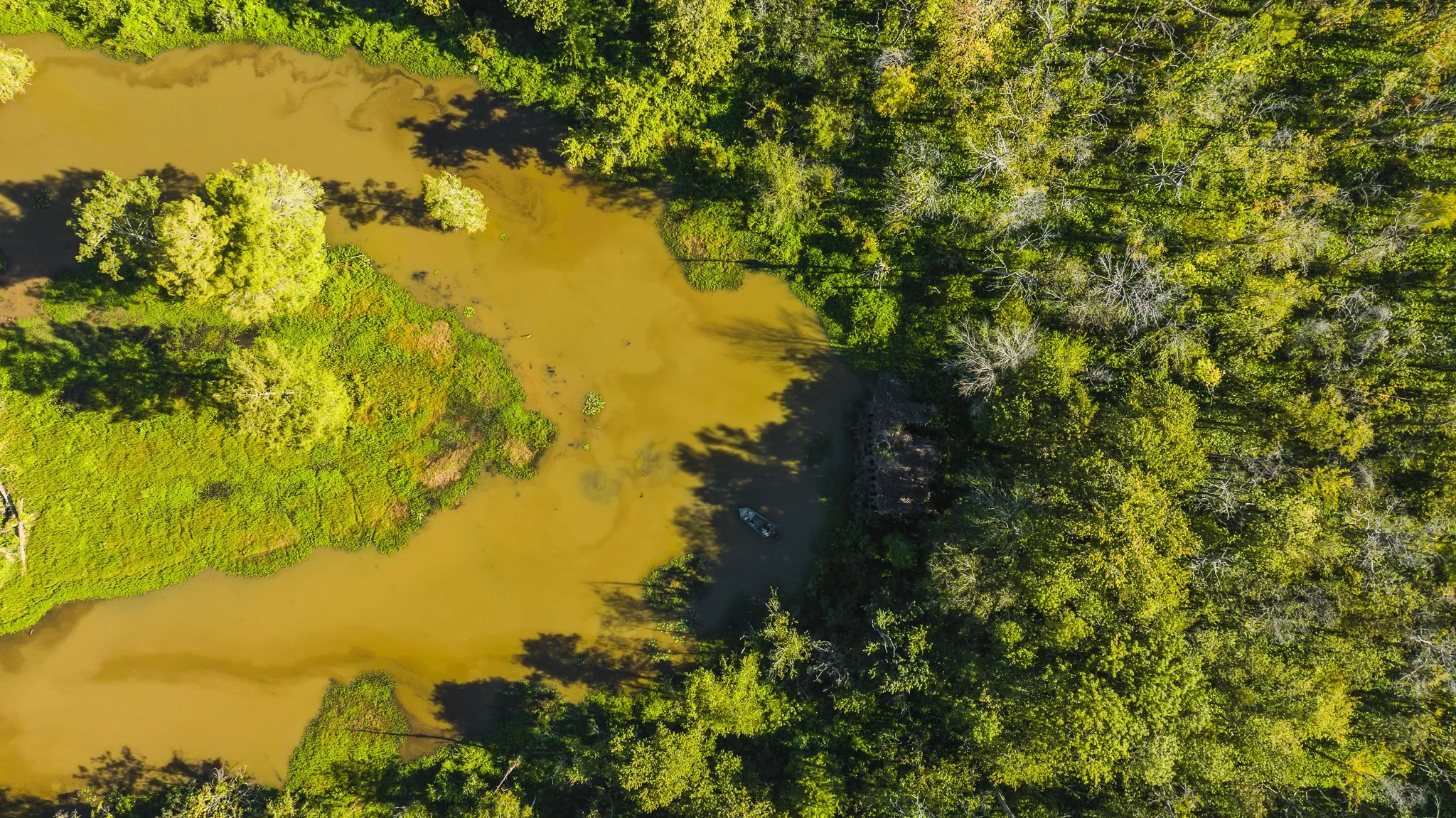 DJI_20250821085519_0041_D.jpg