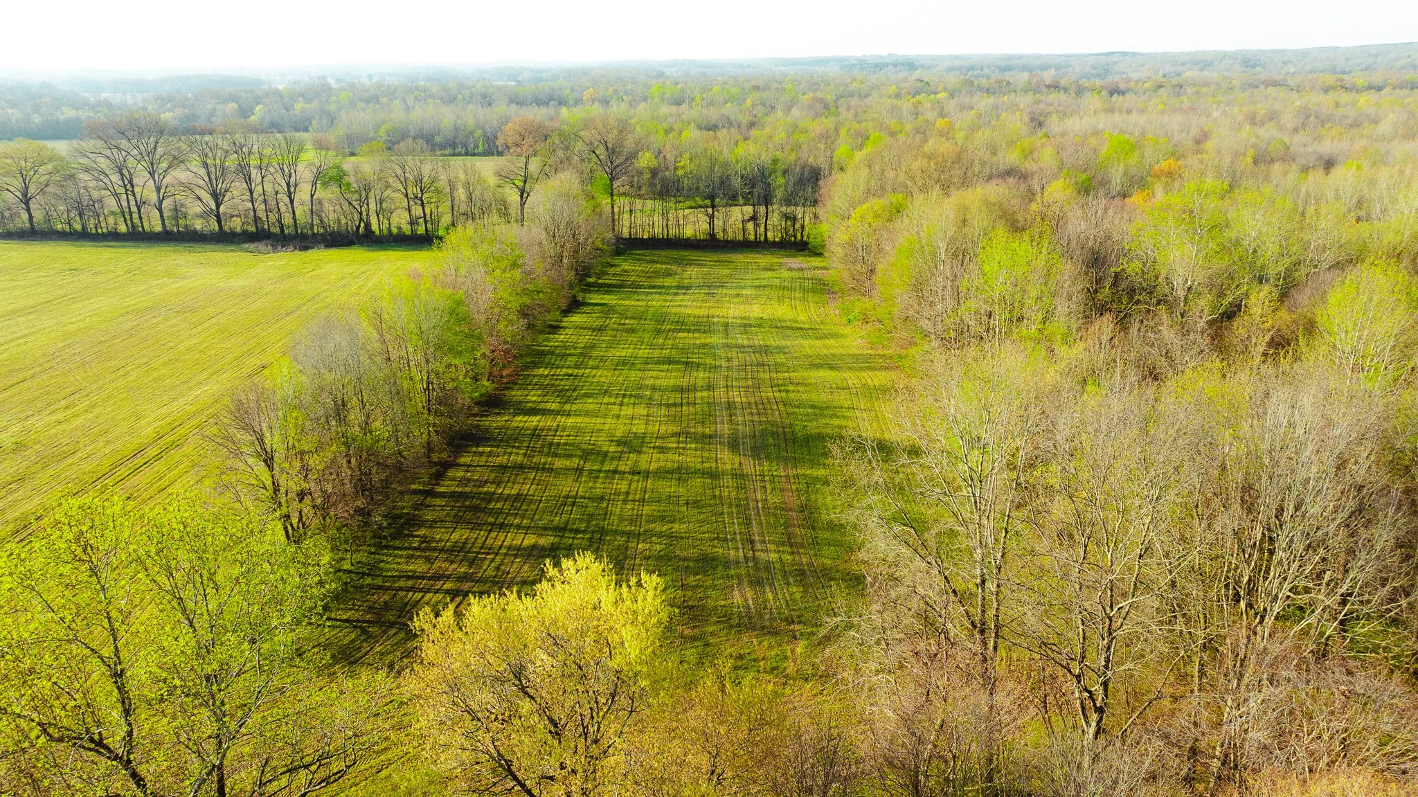 DJI_20260326084231_0016_D.jpg