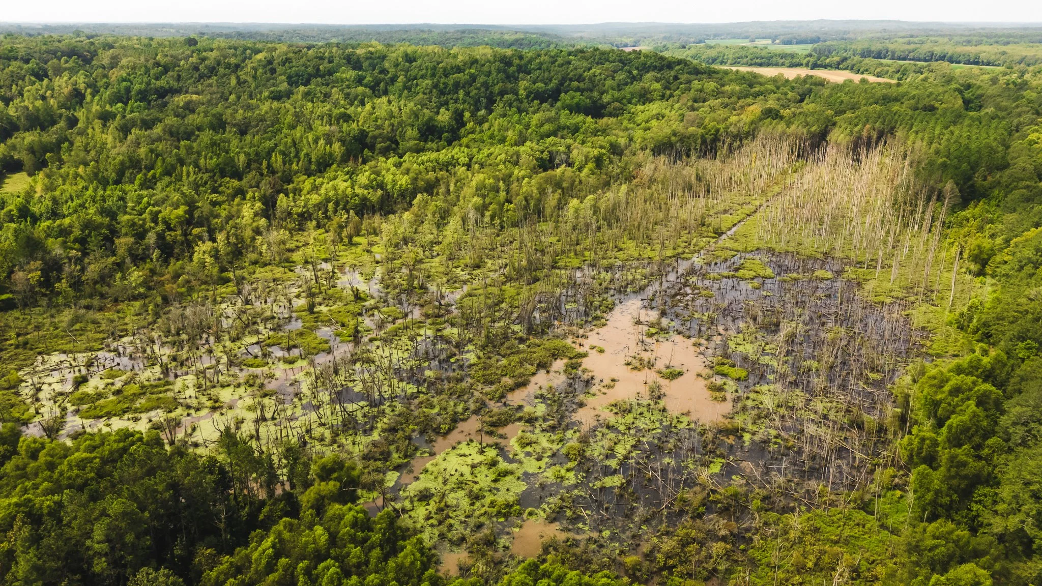 DJI_20250814101250_0001_D.jpg