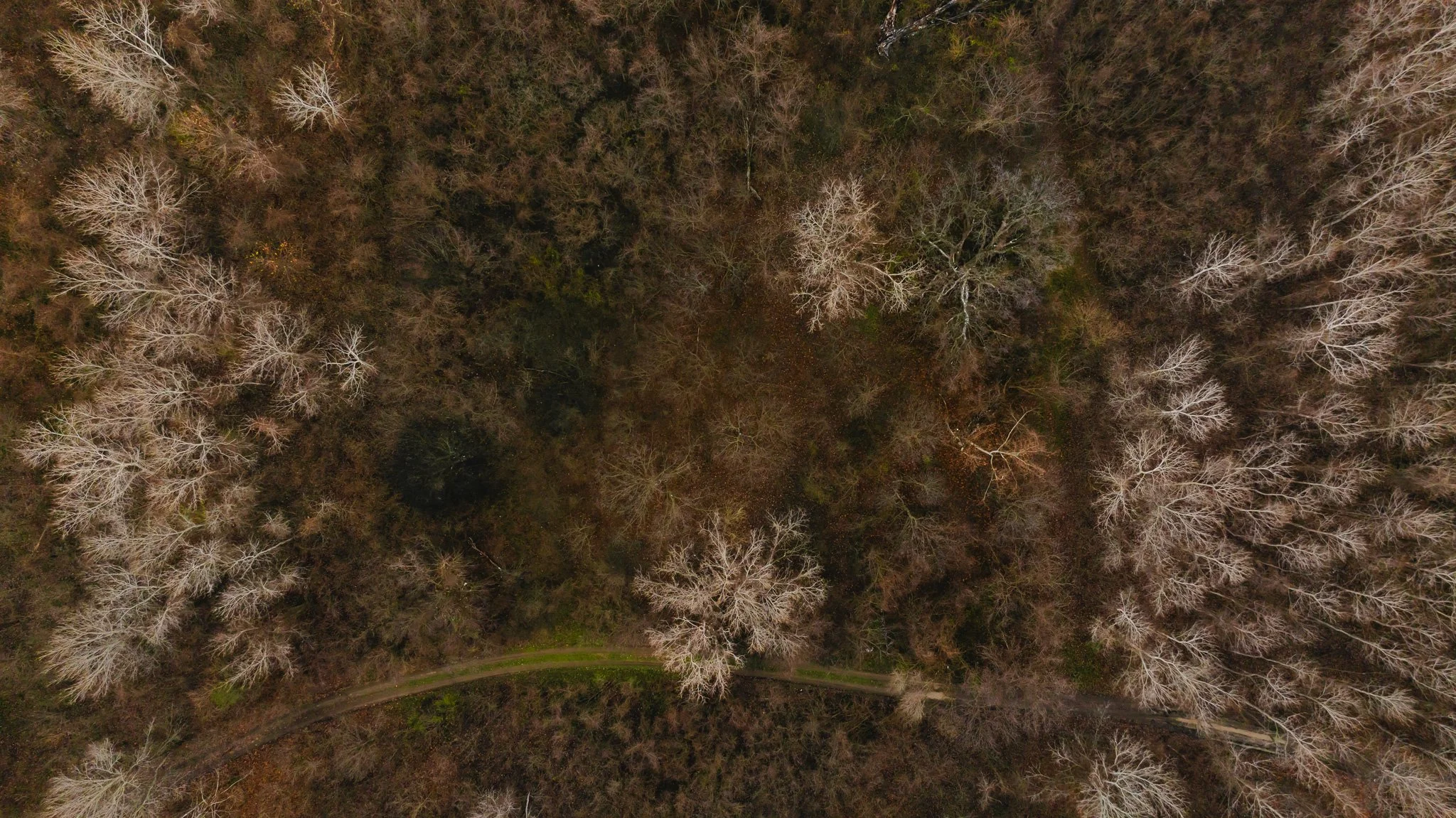 DJI_20251204100043_0041_D.jpg