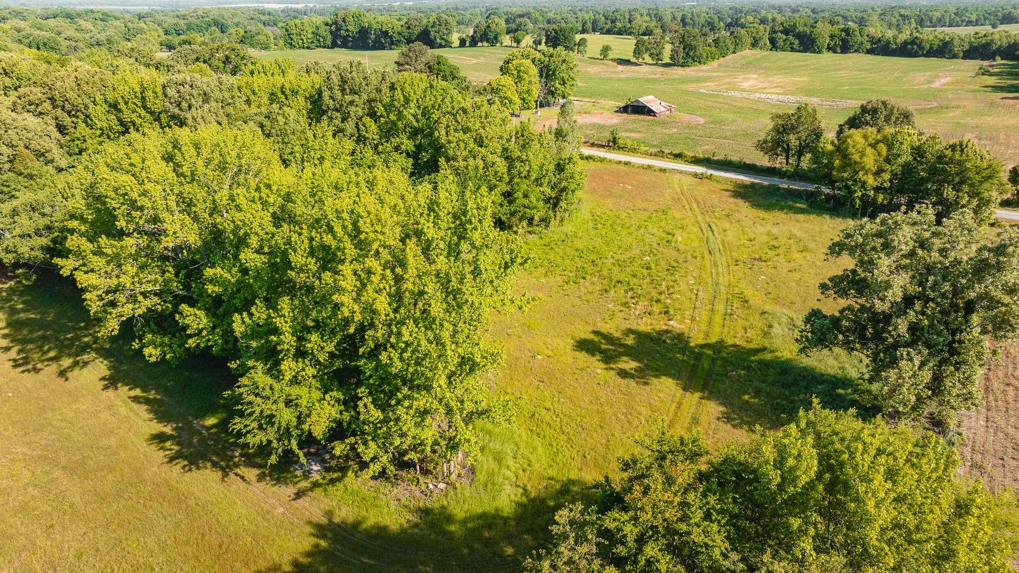 DJI_20260511160029_0016_D.jpg
