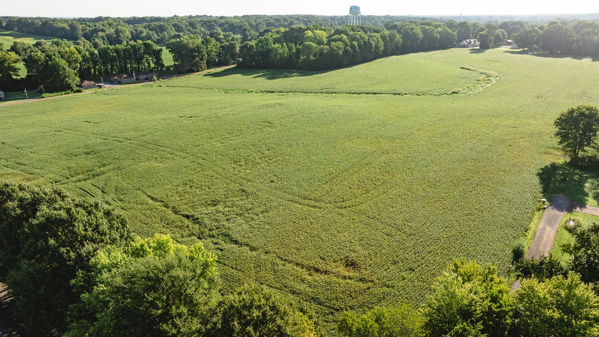 DJI_20260816154303_0007_D.jpg