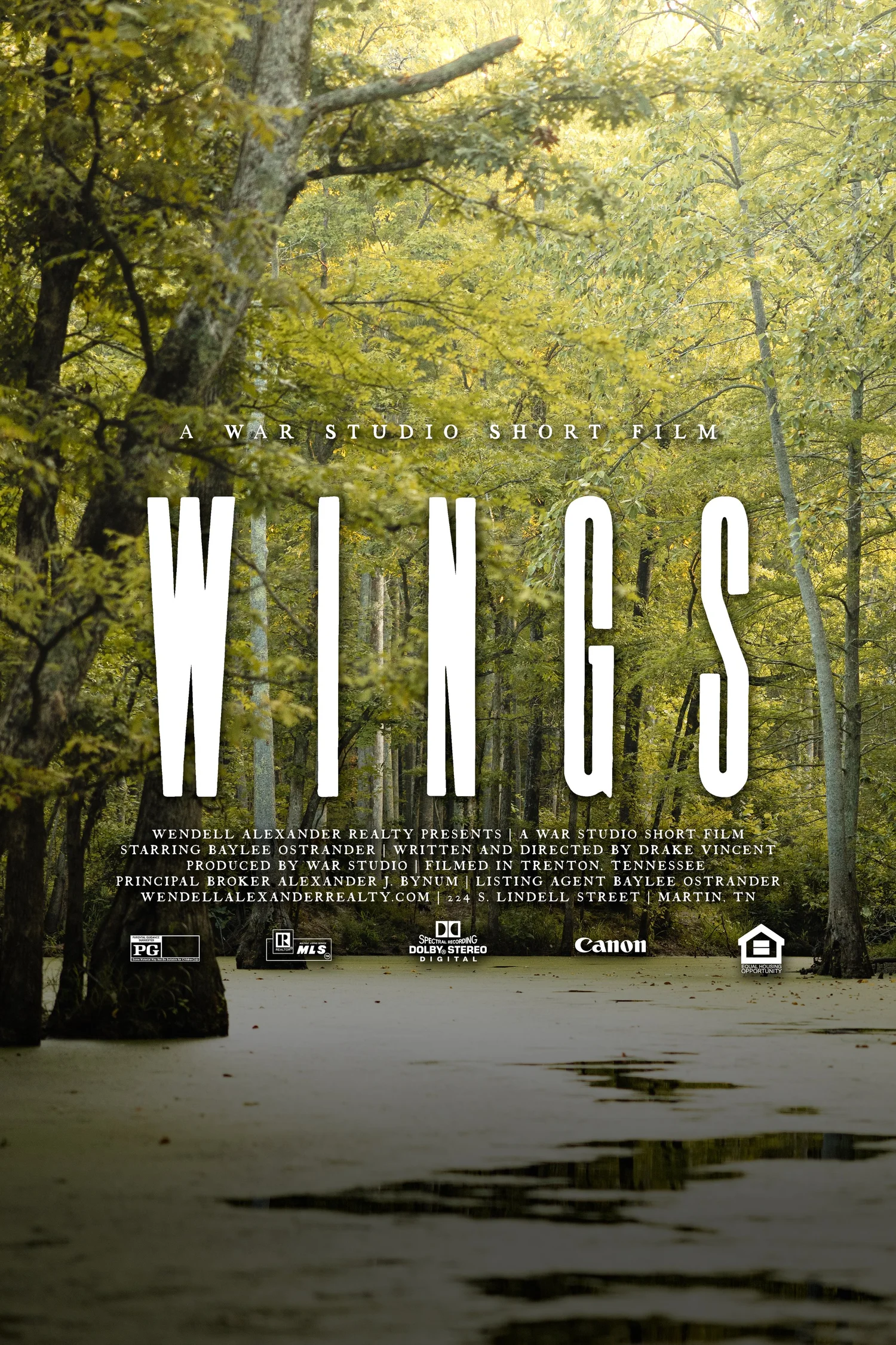 Wings short film