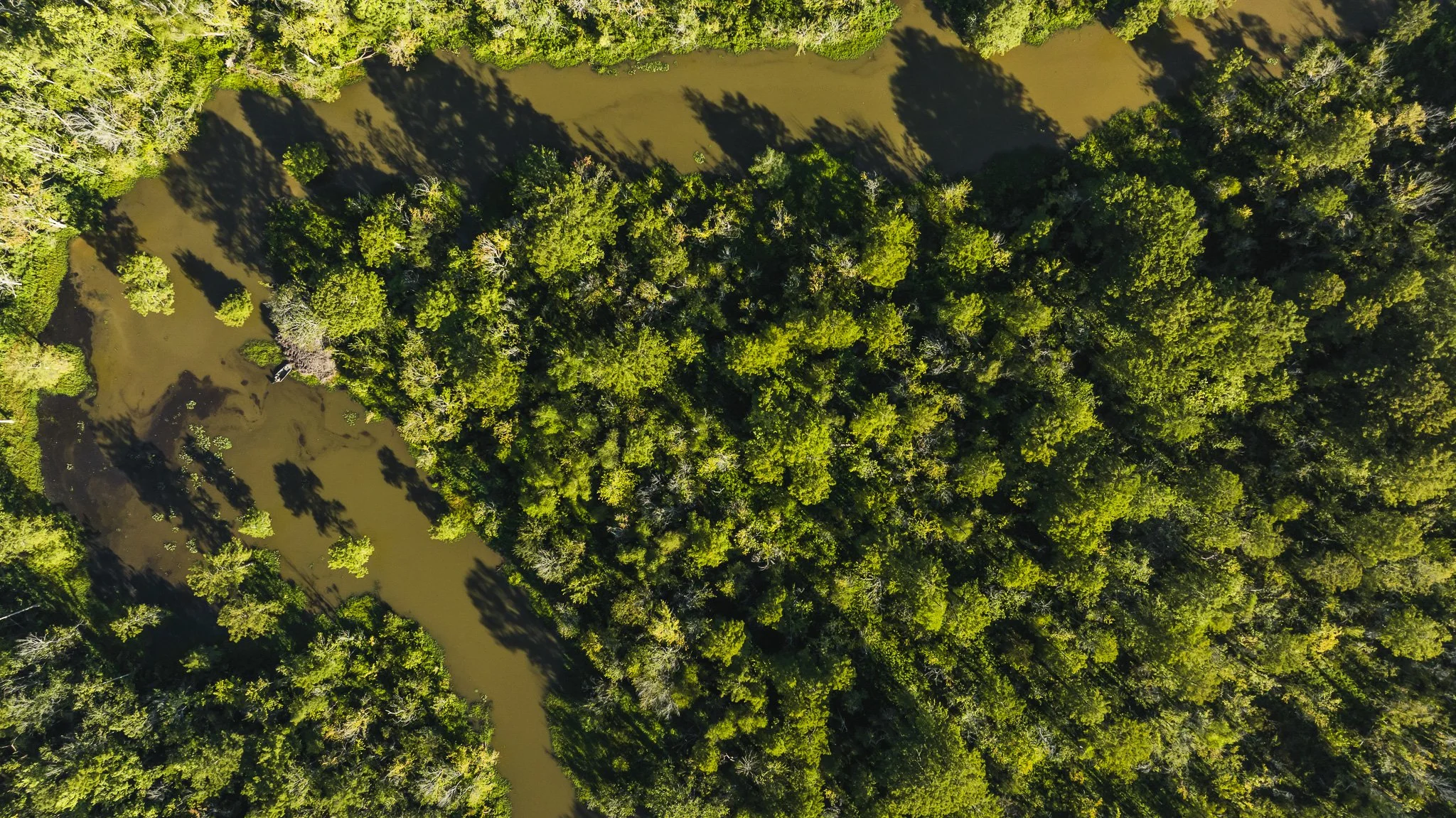 DJI_20250821081623_0005_D.jpg