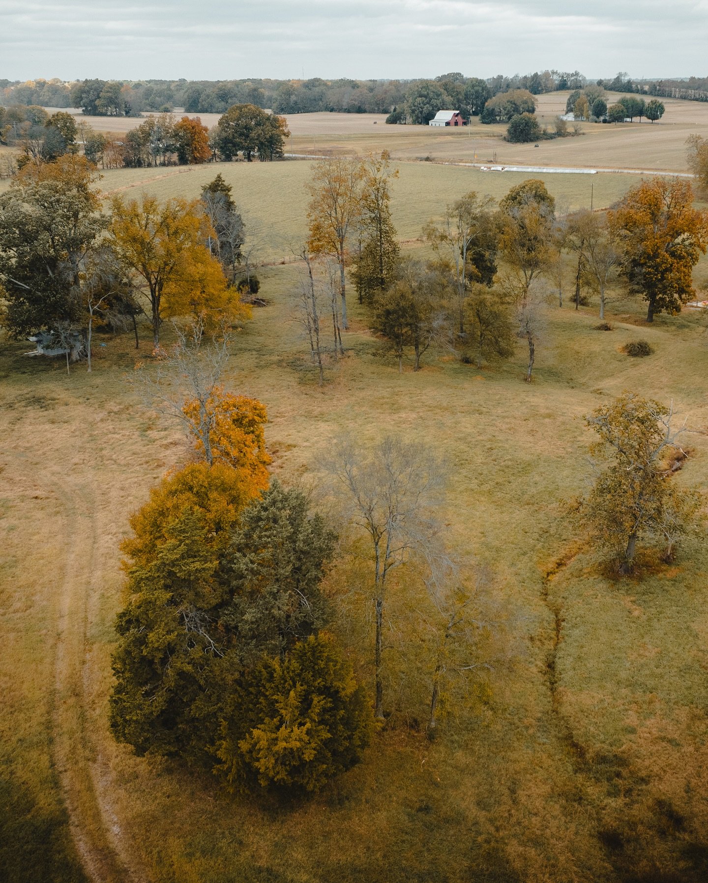 FEATURED LAND LISTING // 17.2 Total Acres | Sharon, TN 🐄
- 
DISCOVER 17.2 ACRES OF PRIME TENNESSEE LAND, PERFECTLY SUITED FOR BUILDING YOUR DREAM HOME OR EXPANDING YOUR CATTLE OPERATION. THIS BEAUTIFUL PROPERTY OFFERS A BLEND OF OPEN PASTURES AND GE