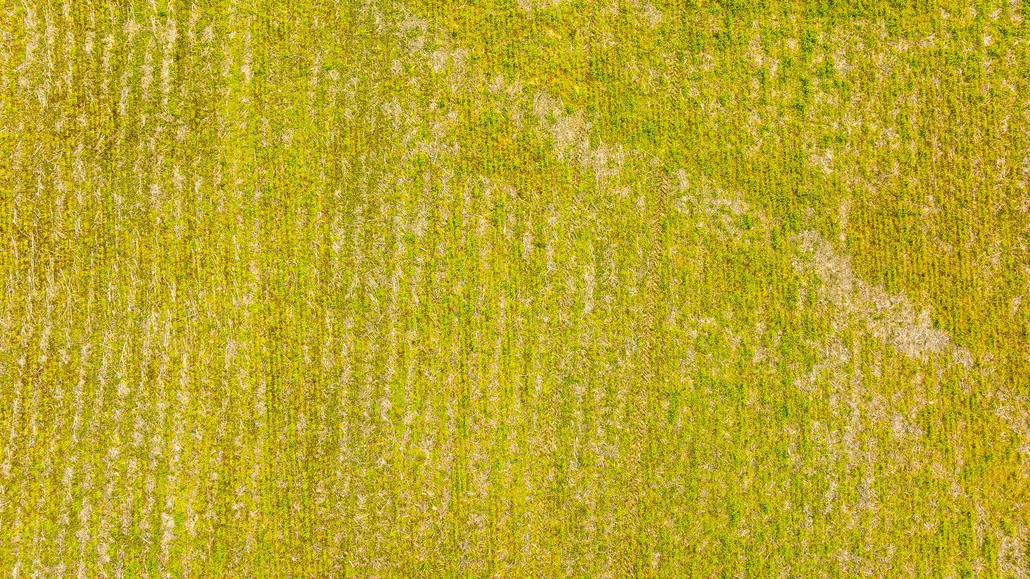 DJI_20260319151949_0023_D.jpg