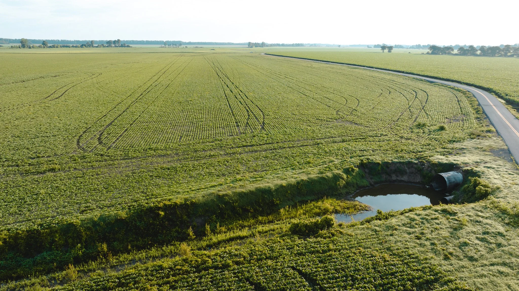 DJI_20260602135814_0034_D.jpg
