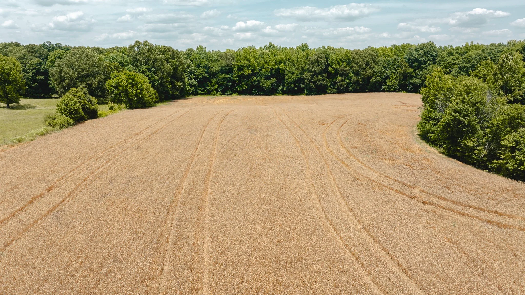 DJI_20260602204216_0018_D.jpg