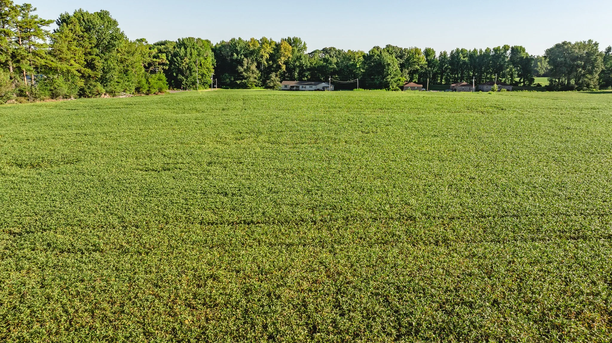 DJI_20260816154316_0008_D.jpg