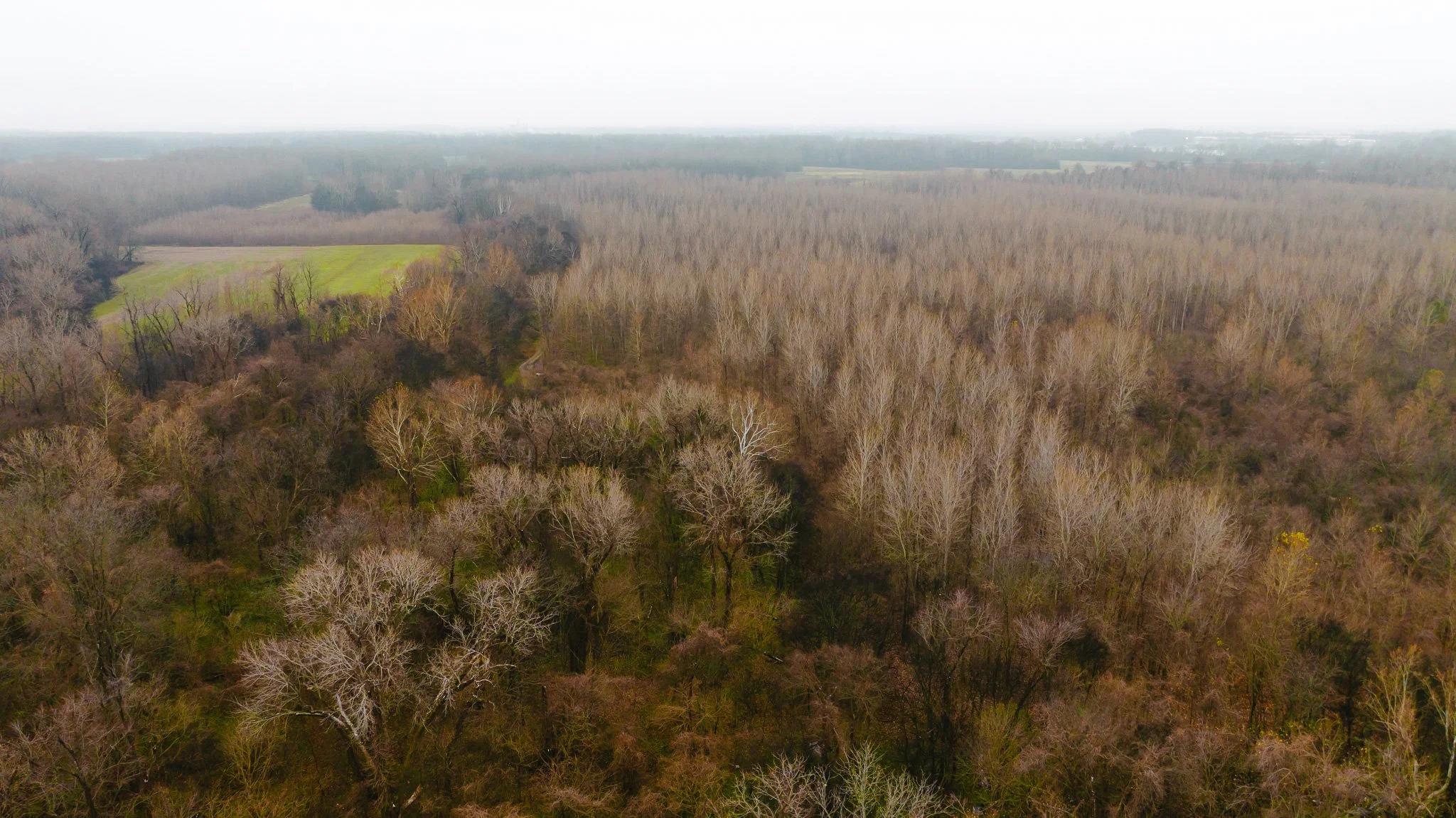 DJI_20251204095717_0035_D.jpg