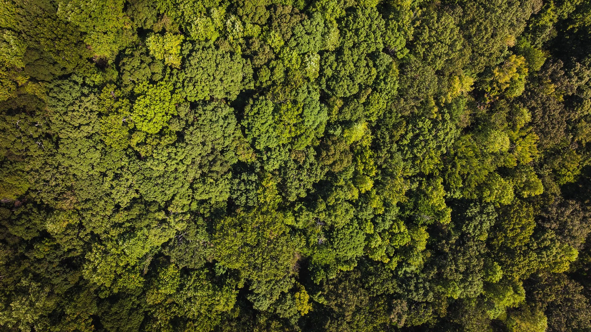 DJI_20250911111855_0037_D.jpg