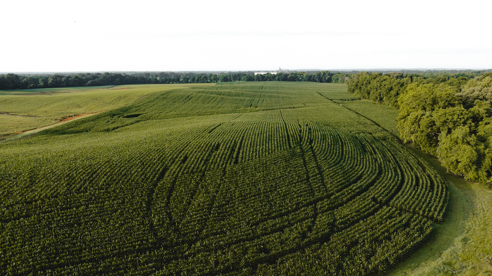 DJI_20260531141222_0093_D.jpg