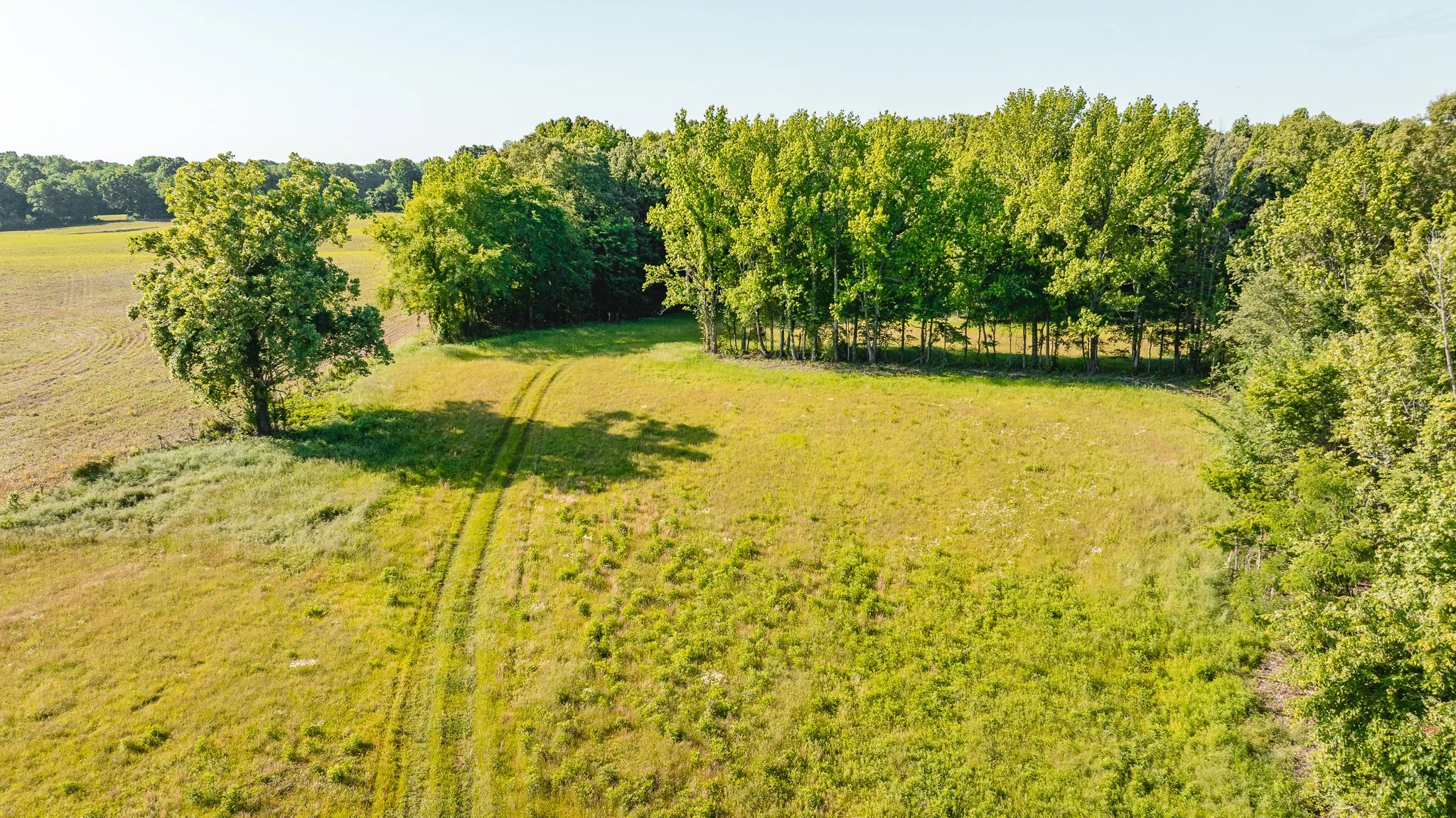 DJI_20260511155627_0005_D.jpg